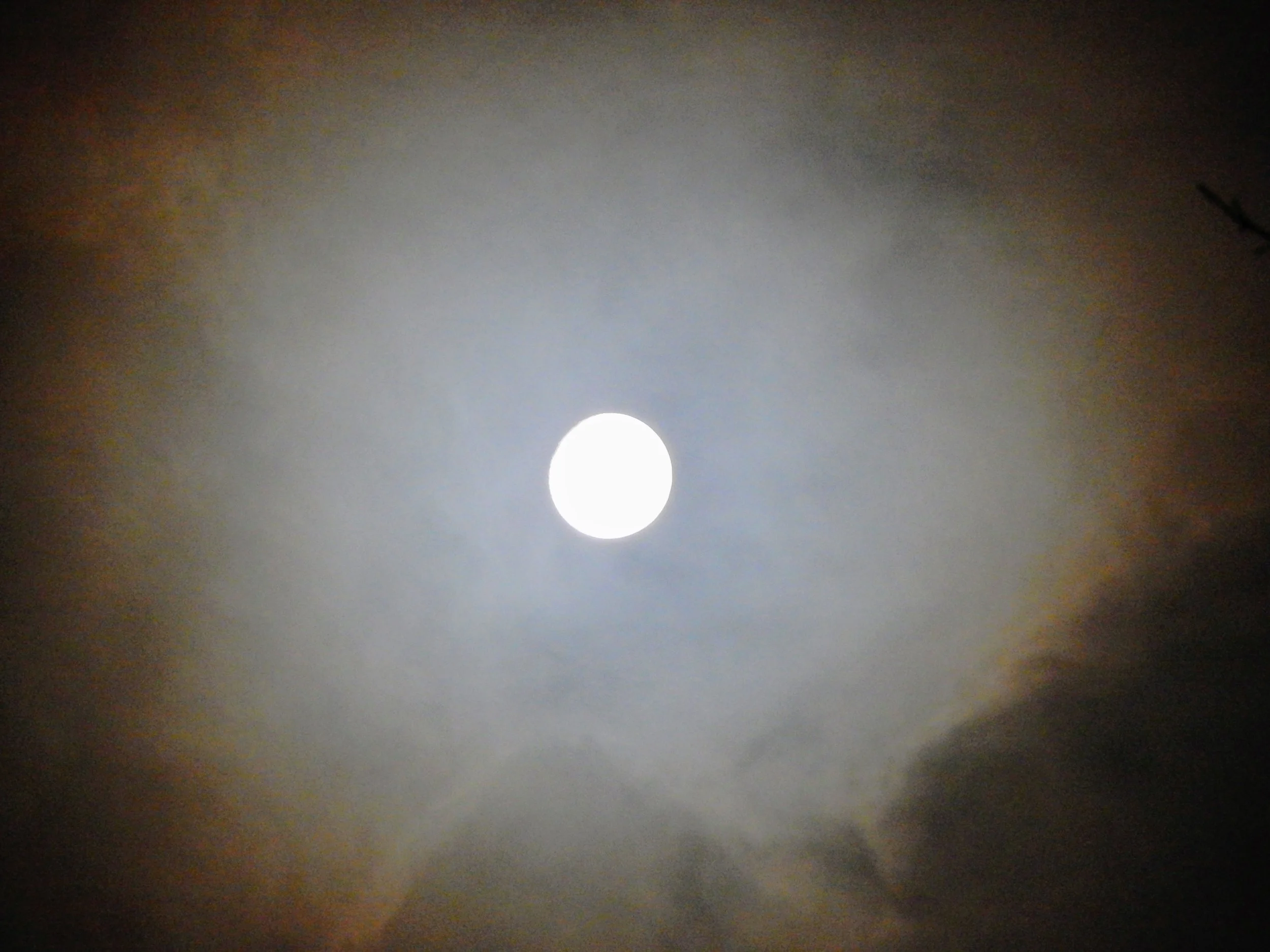 DSCN4053.jpg