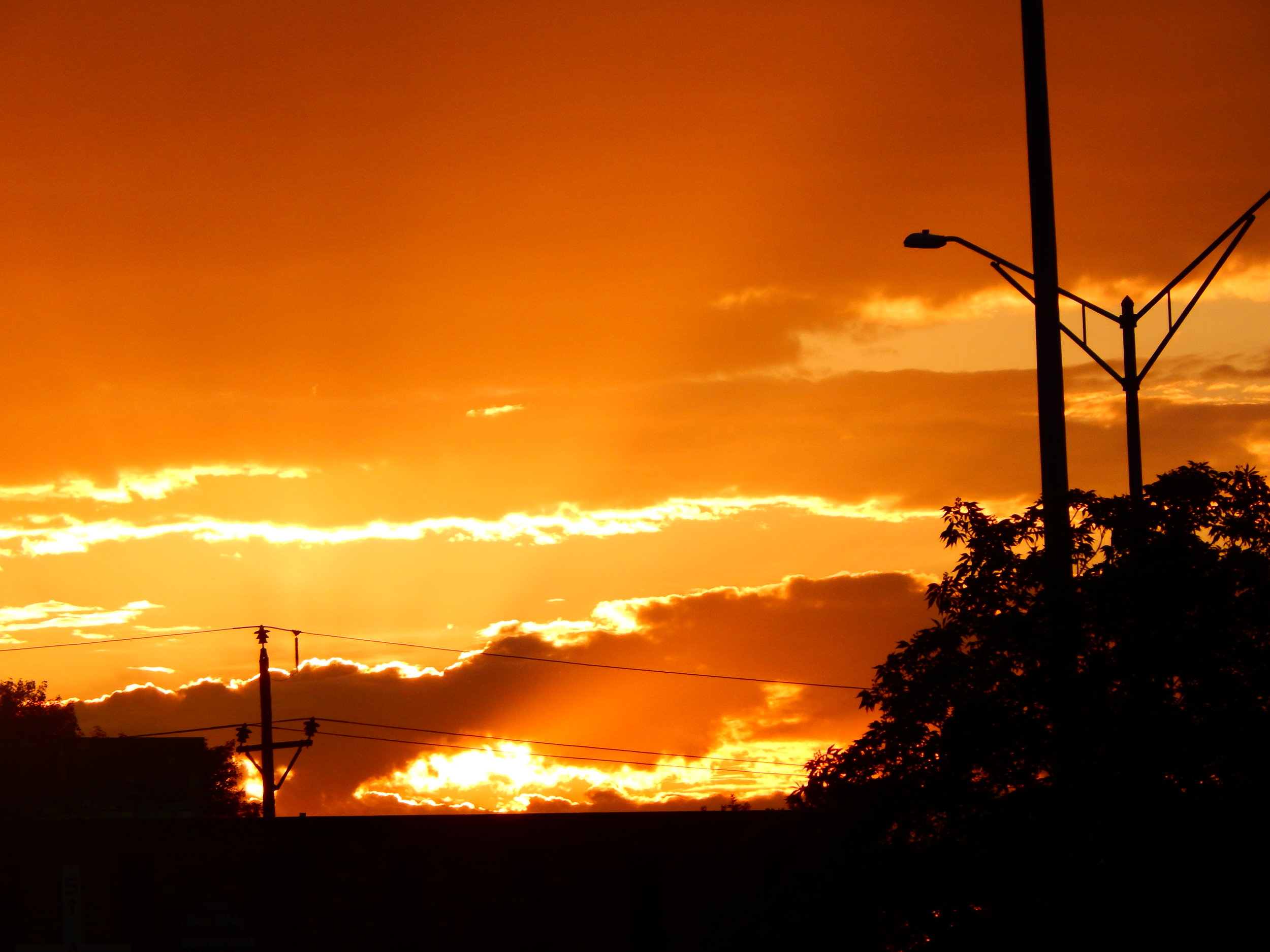 DSCN5460.JPG