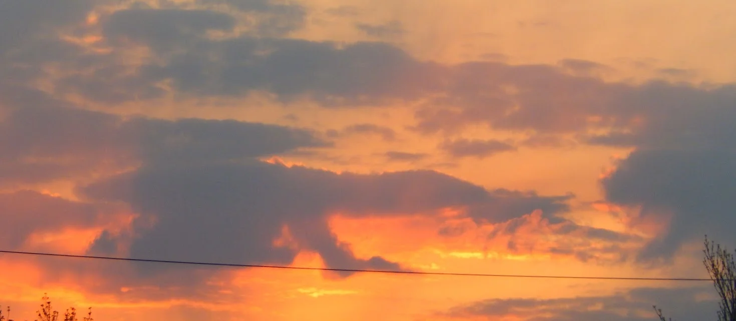 ethereal orange.JPG