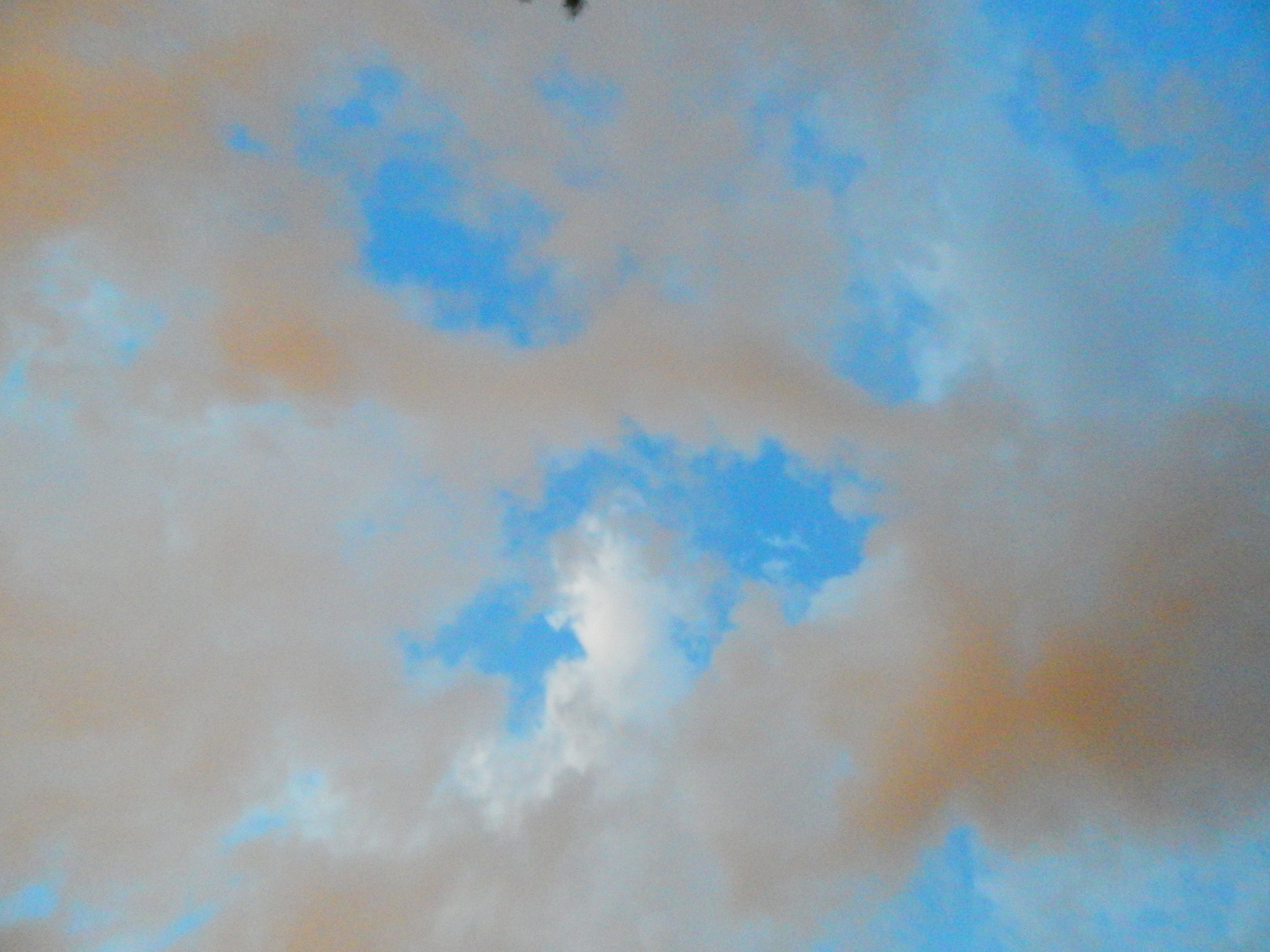 DSCN5341.JPG
