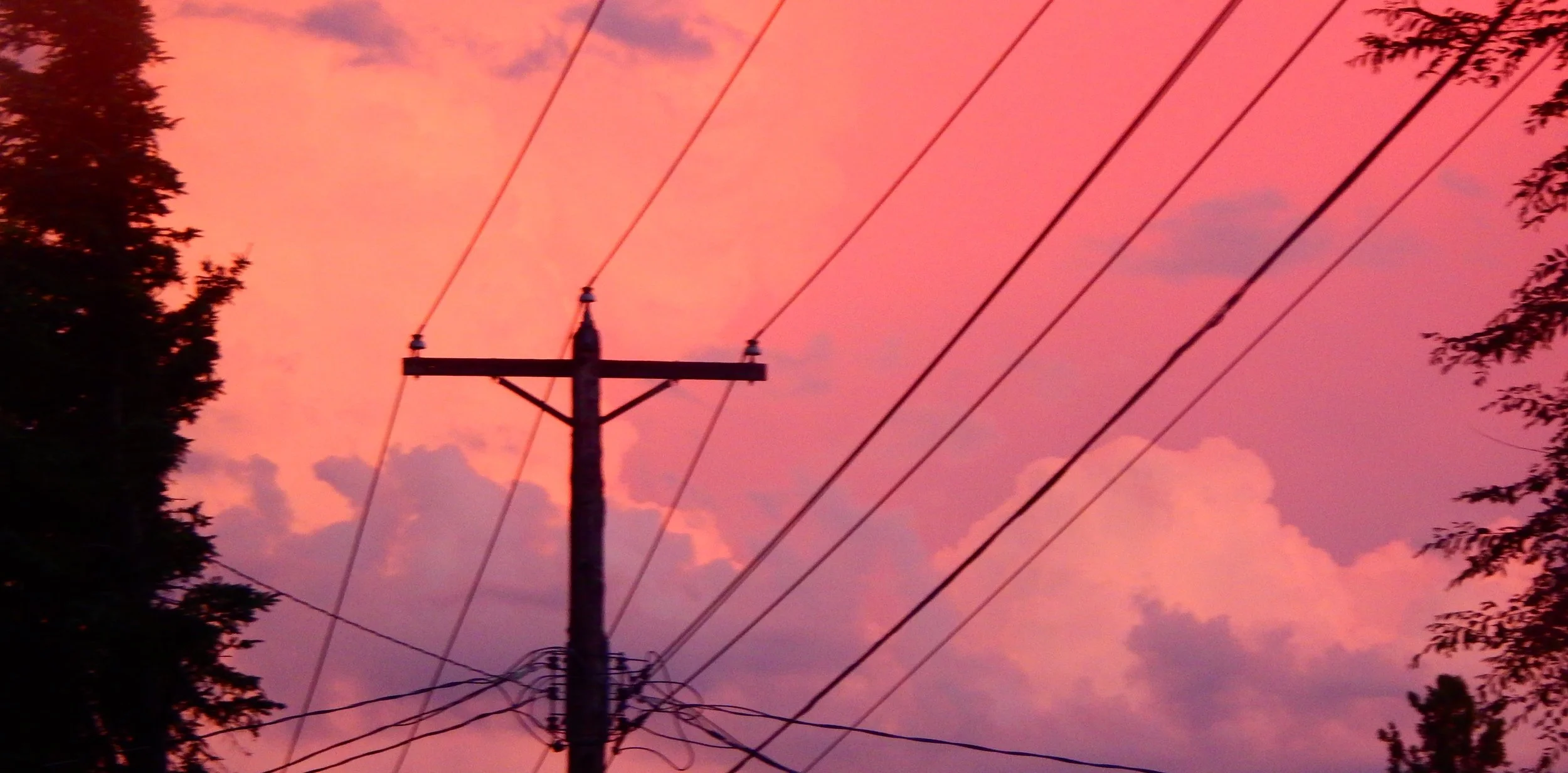 electric pink 2.JPG