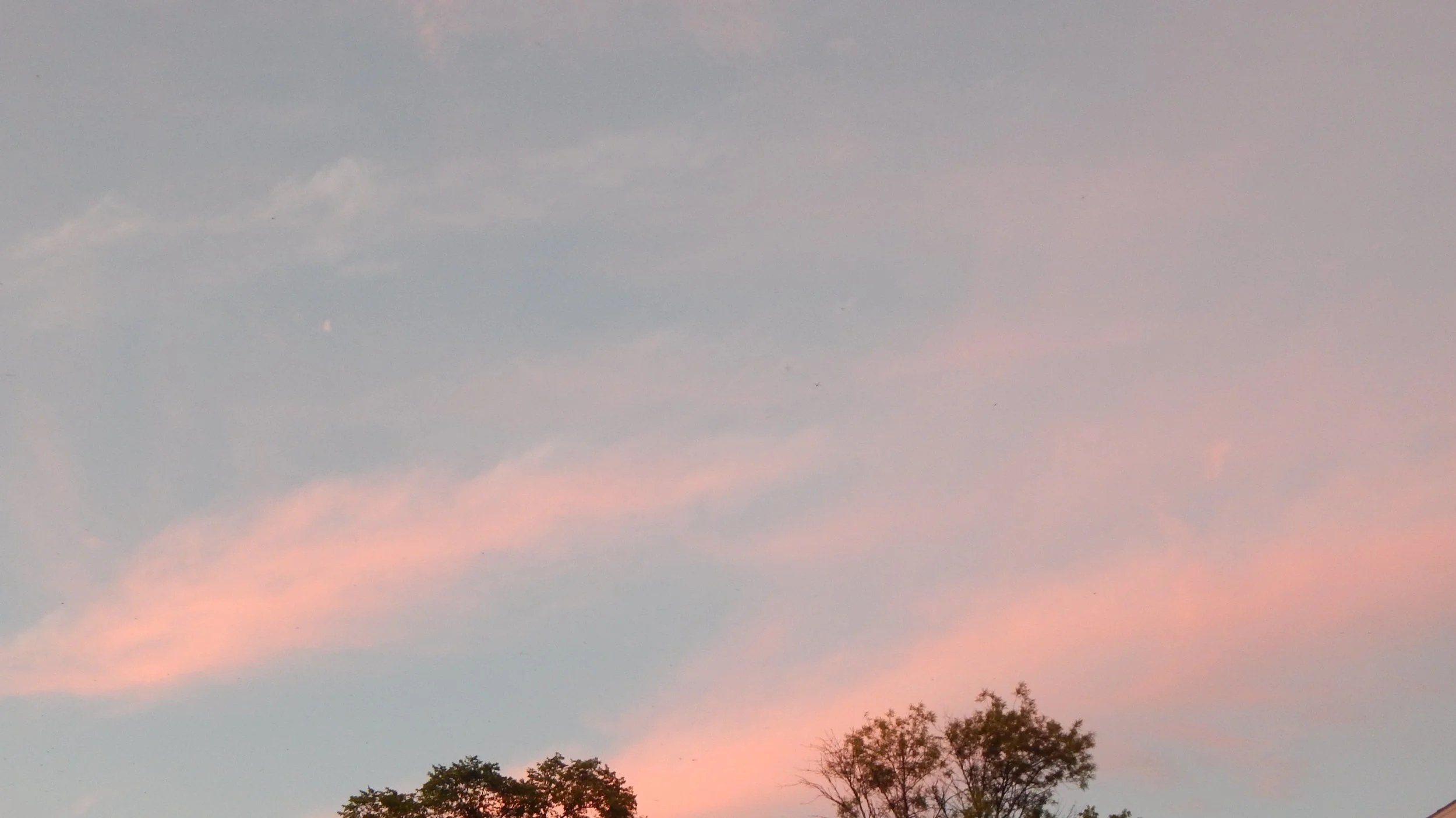 DSCN3521.jpg