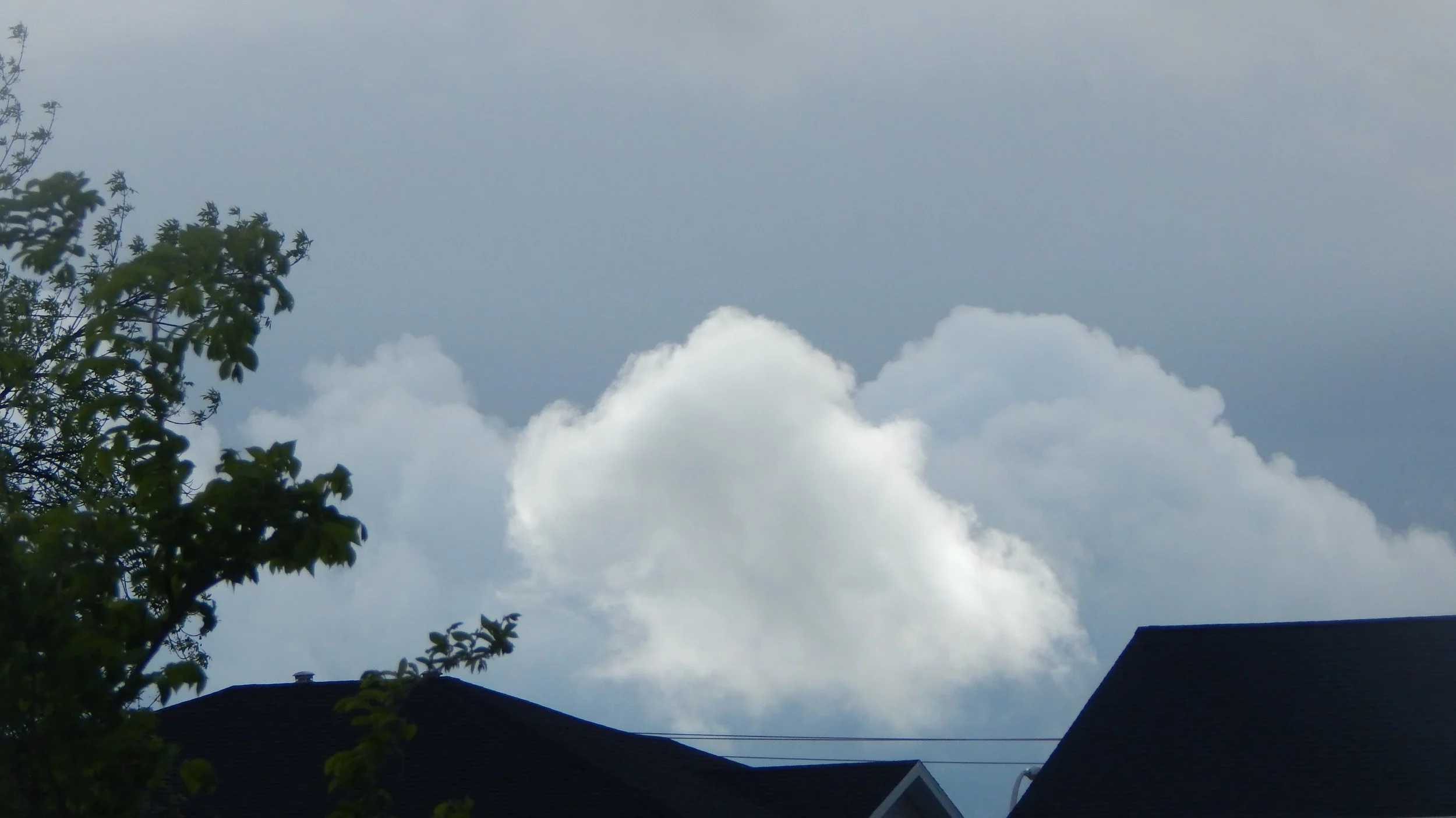 DSCN2476.JPG