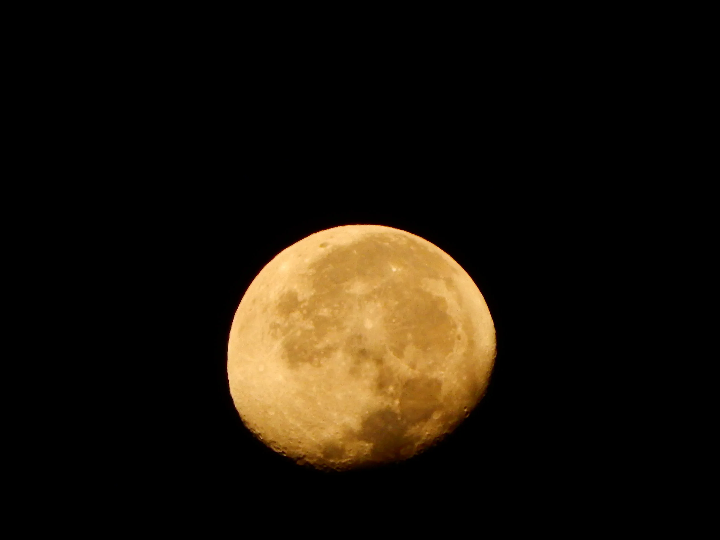 DSCN5812.JPG