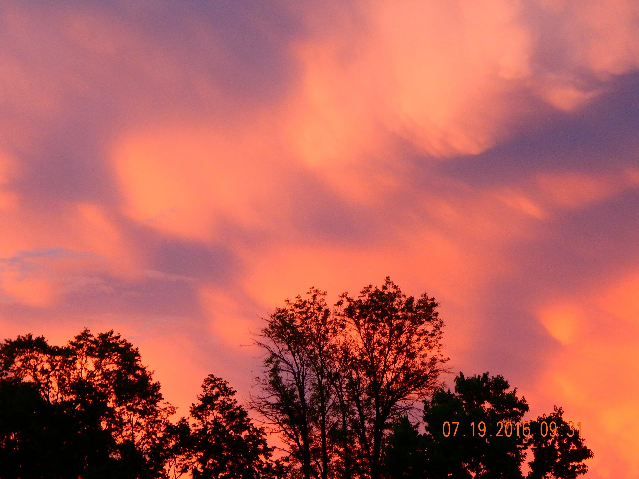 Pink Glow.JPG
