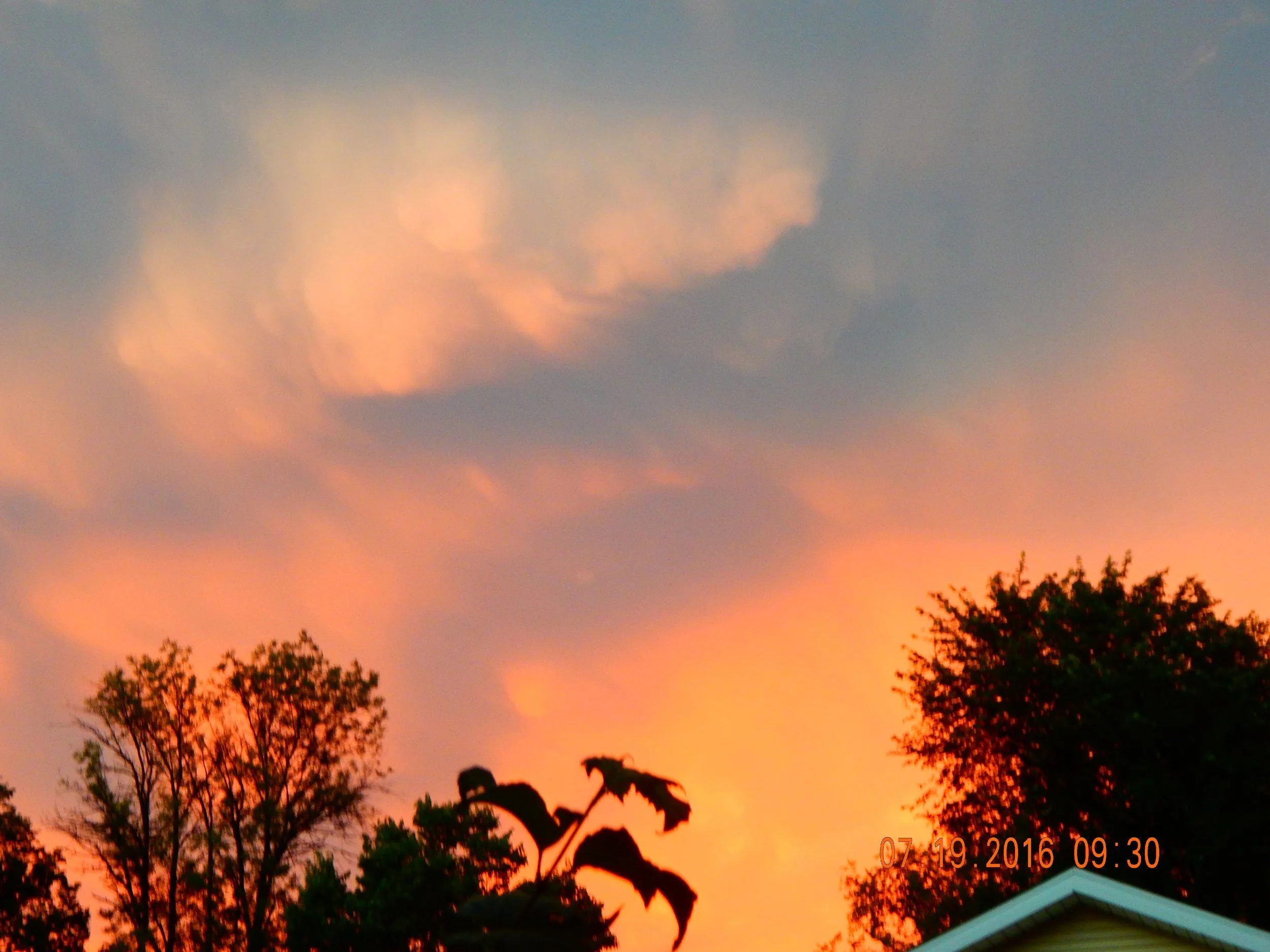 DSCN1163.JPG