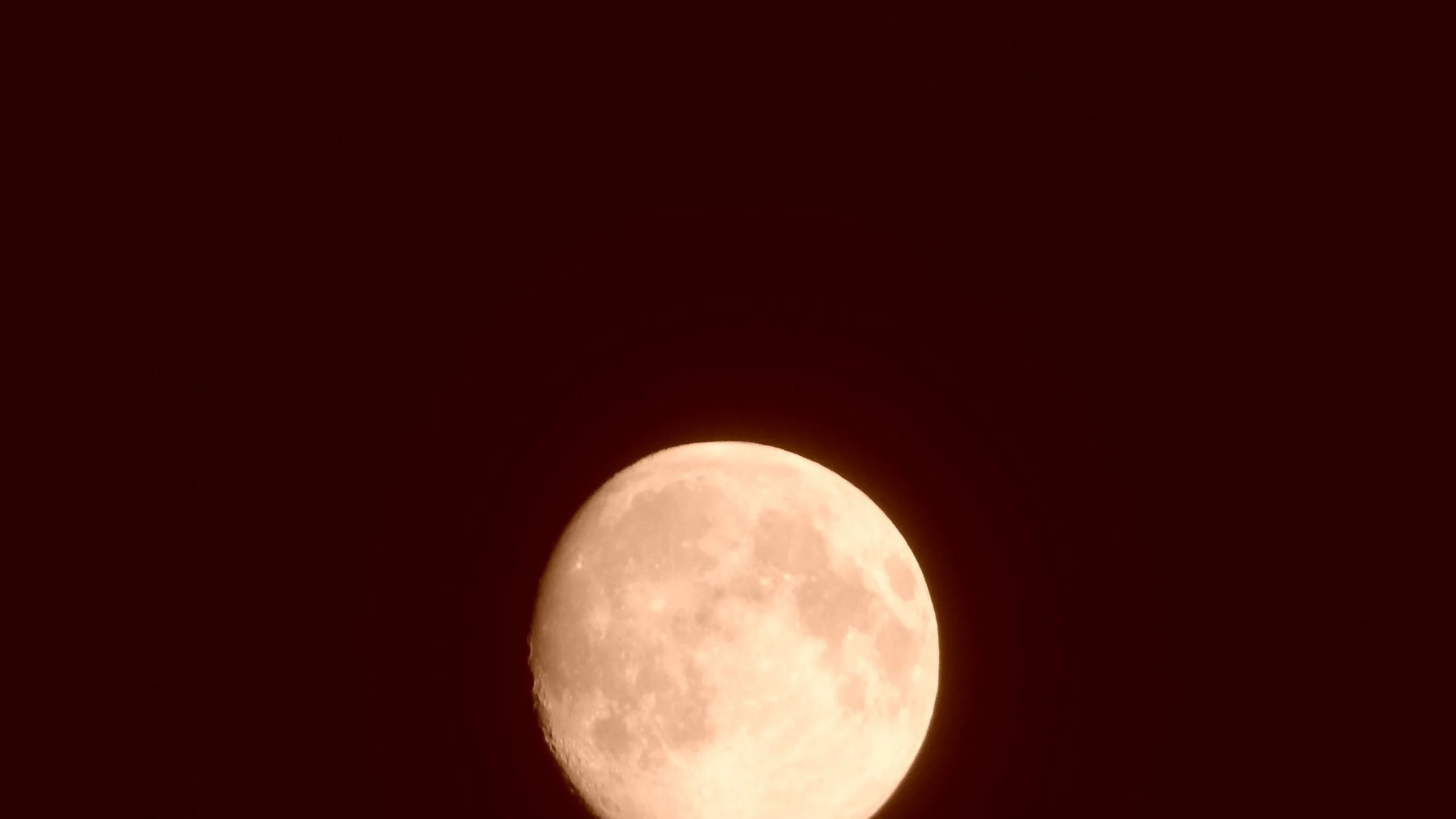DSCN9659.JPG
