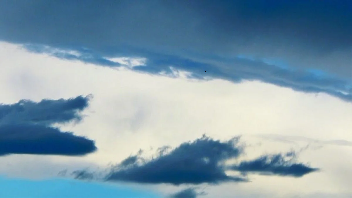 cloudcarnivous.jpg