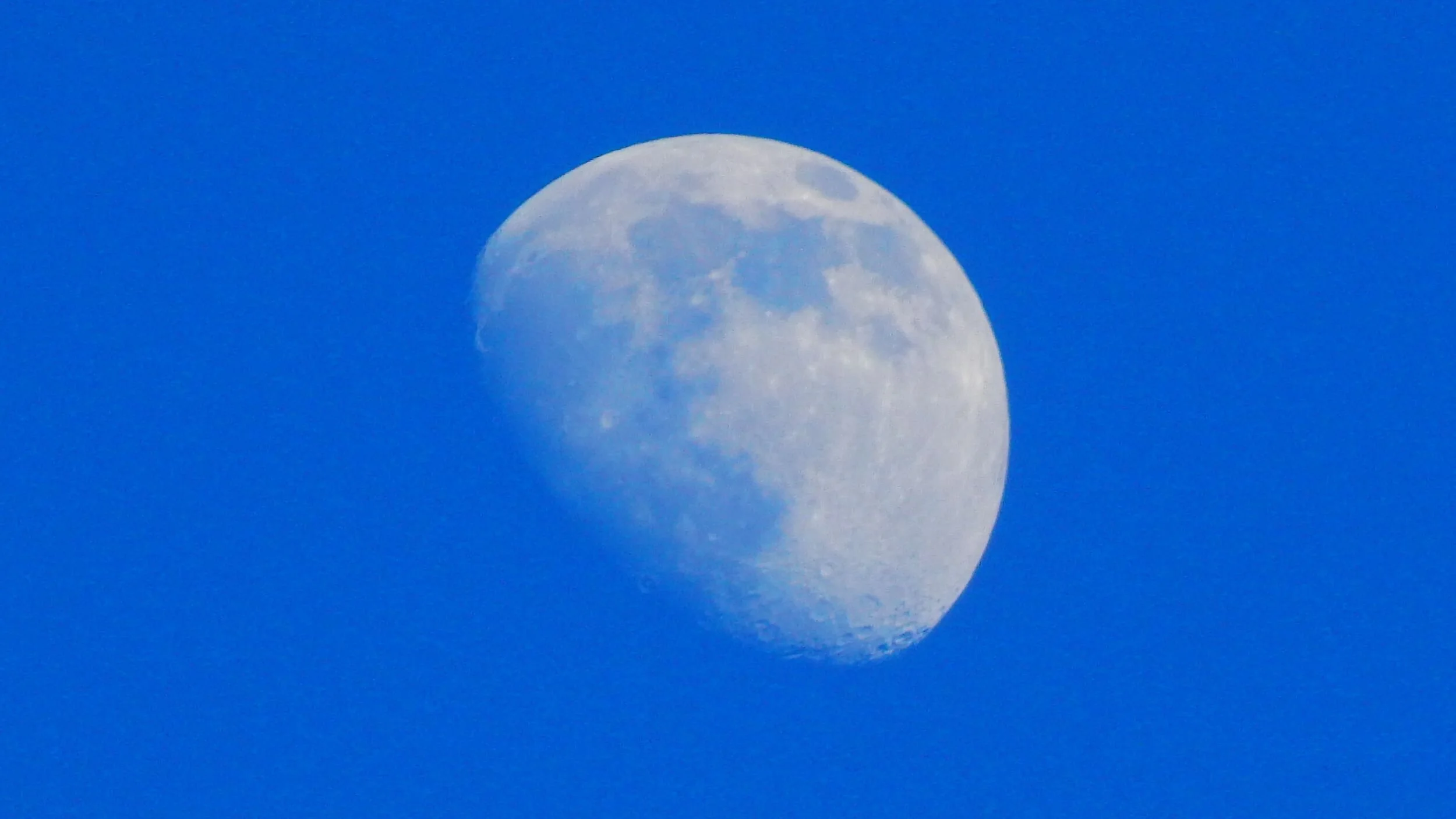 blue6april2021wjordahl.JPG