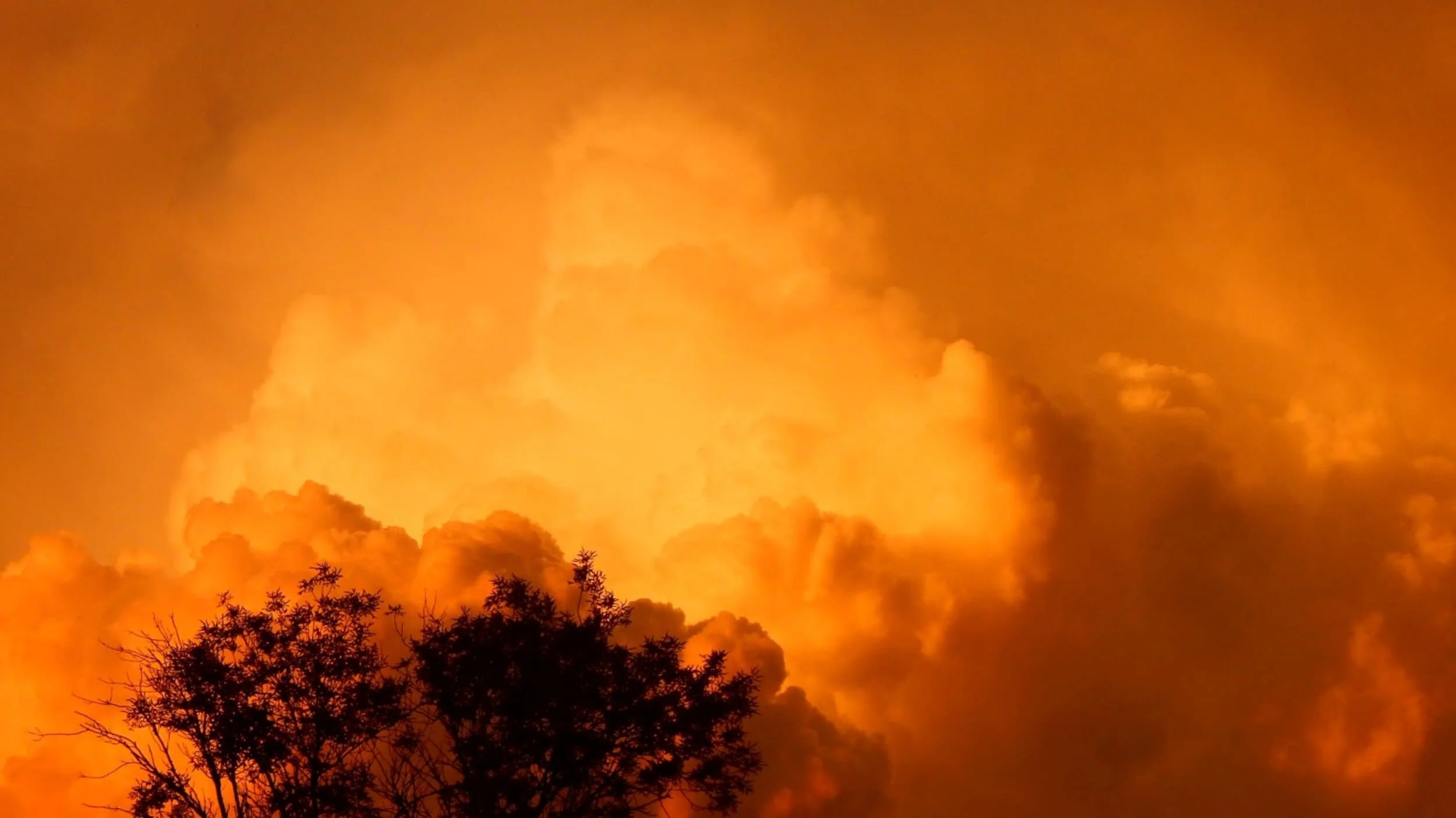 Rolling in Yellow.JPG