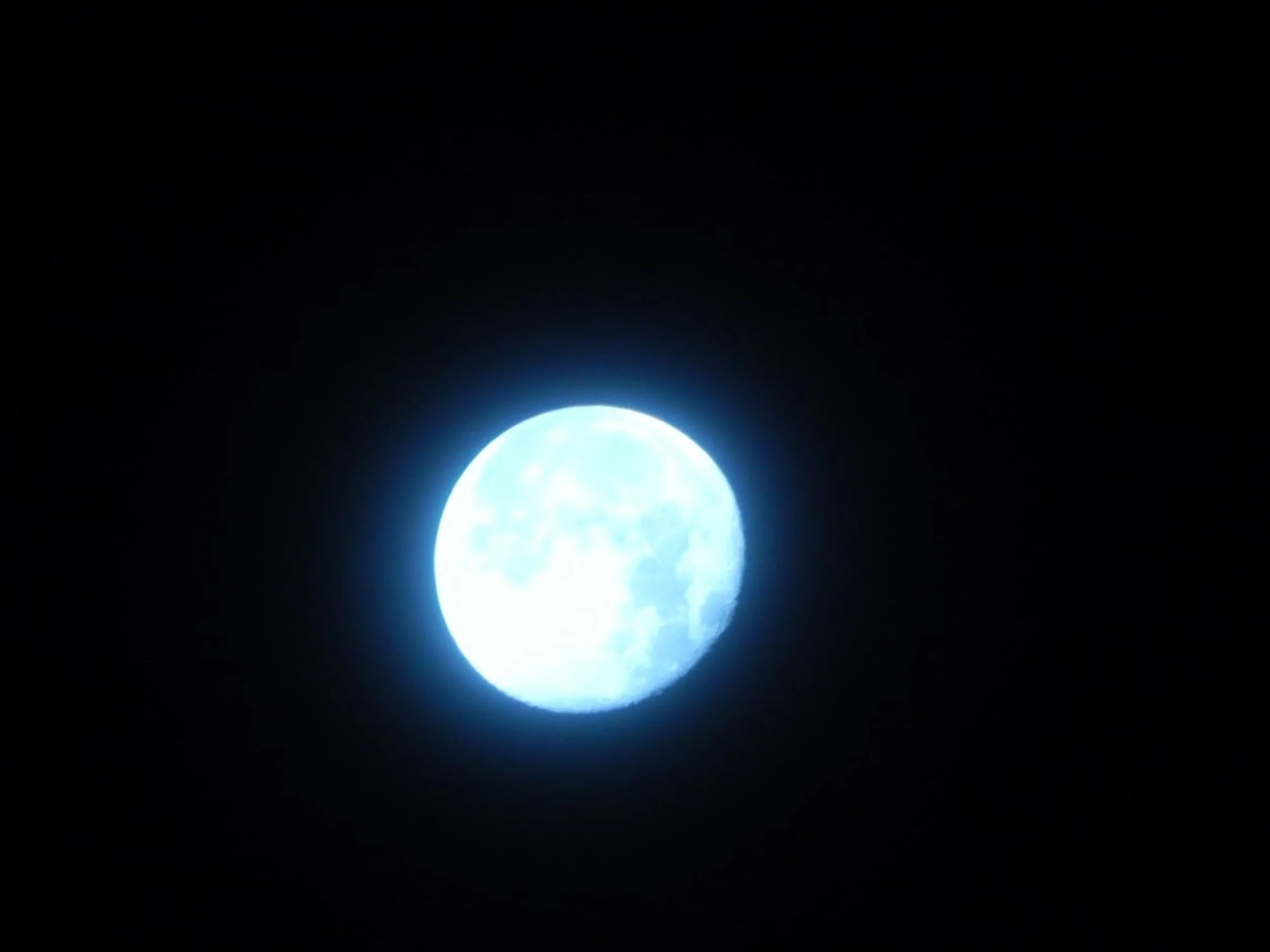 blue man 1.JPG