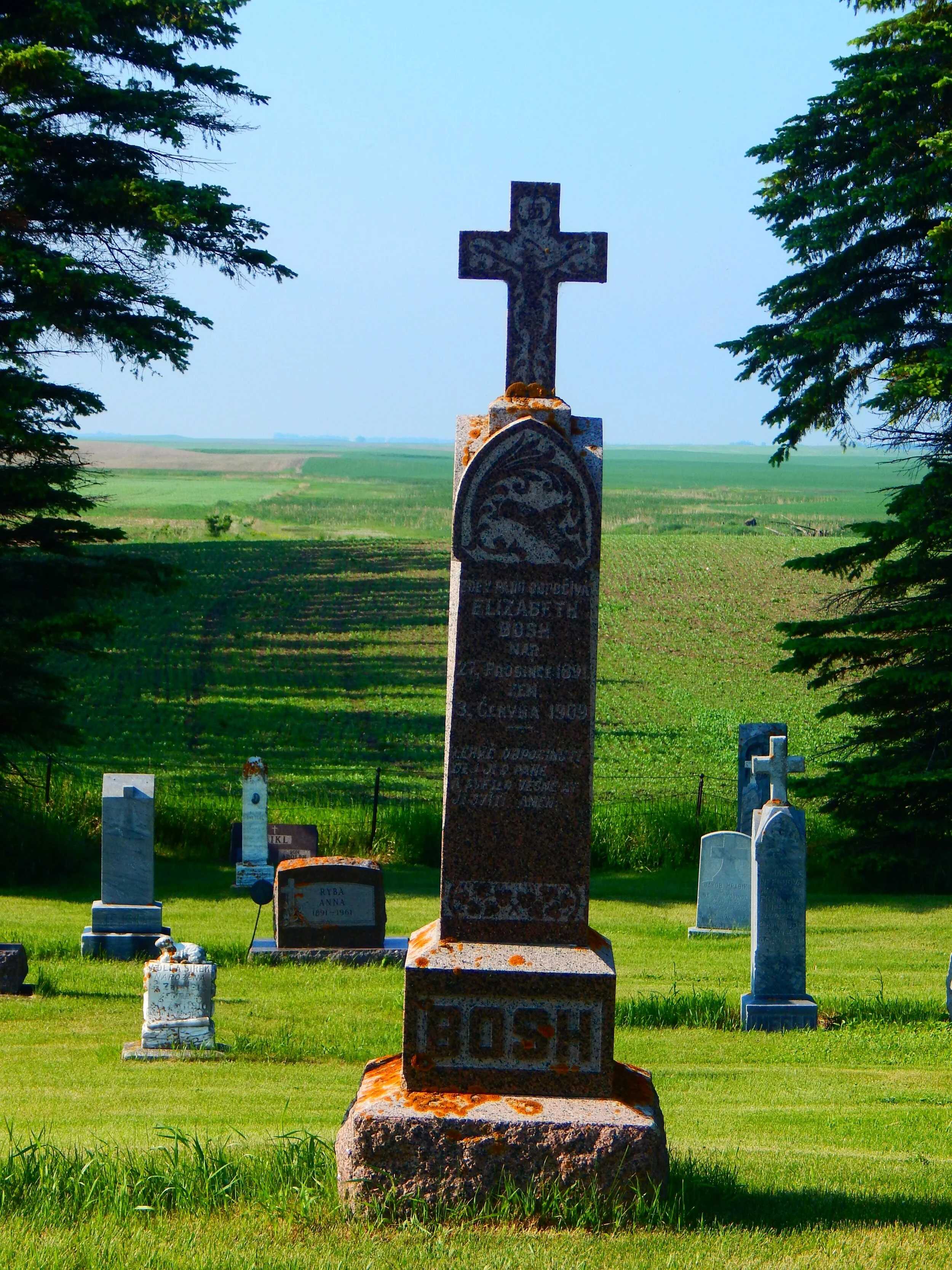 bechyne dead 1.JPG