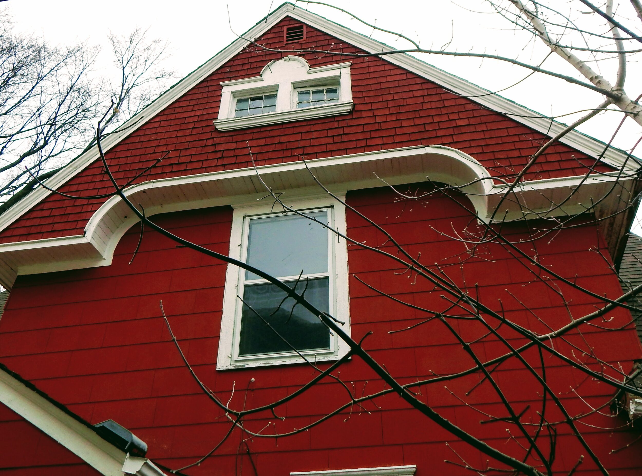 red.JPG