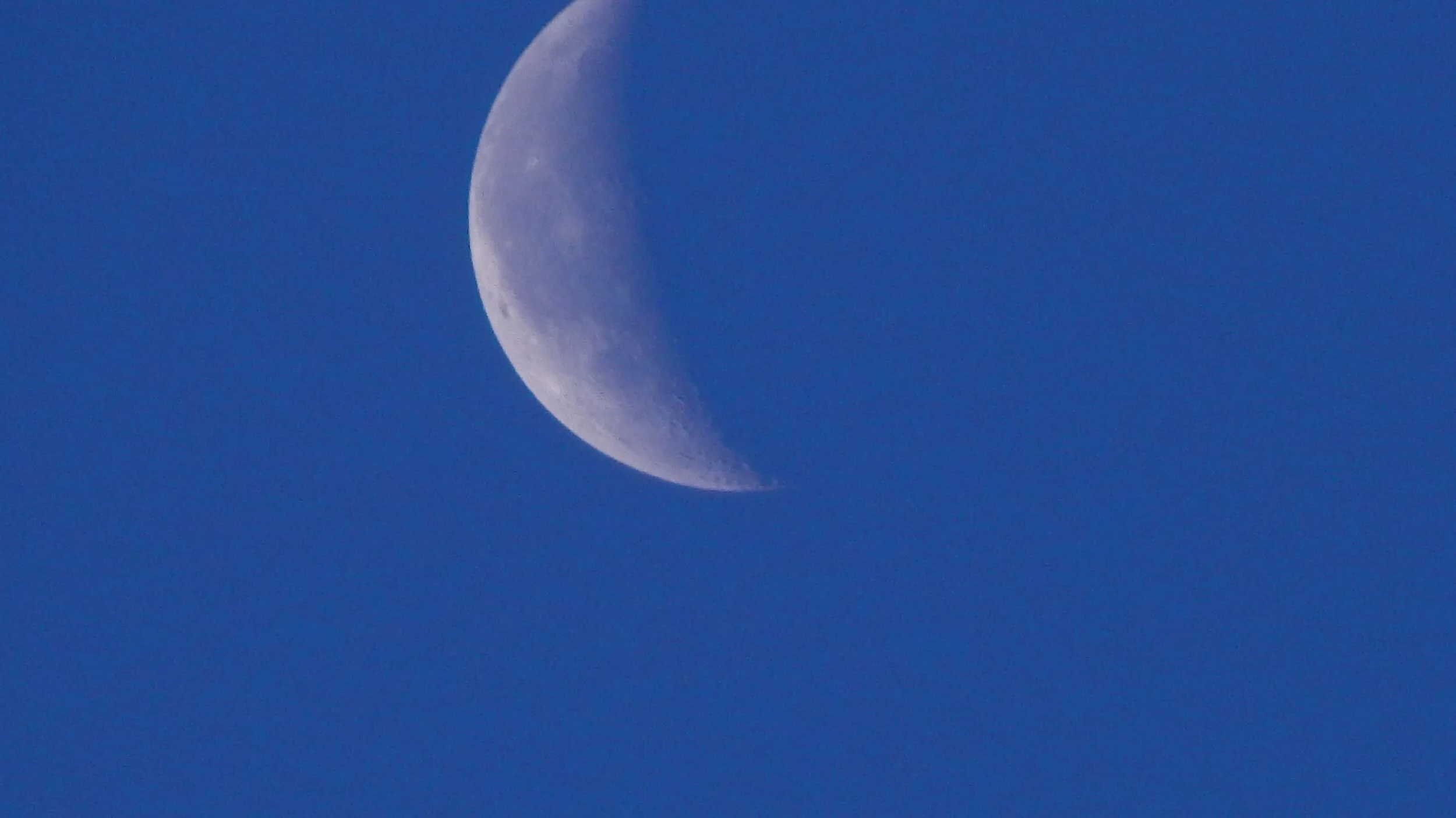 DSCN0131.JPG