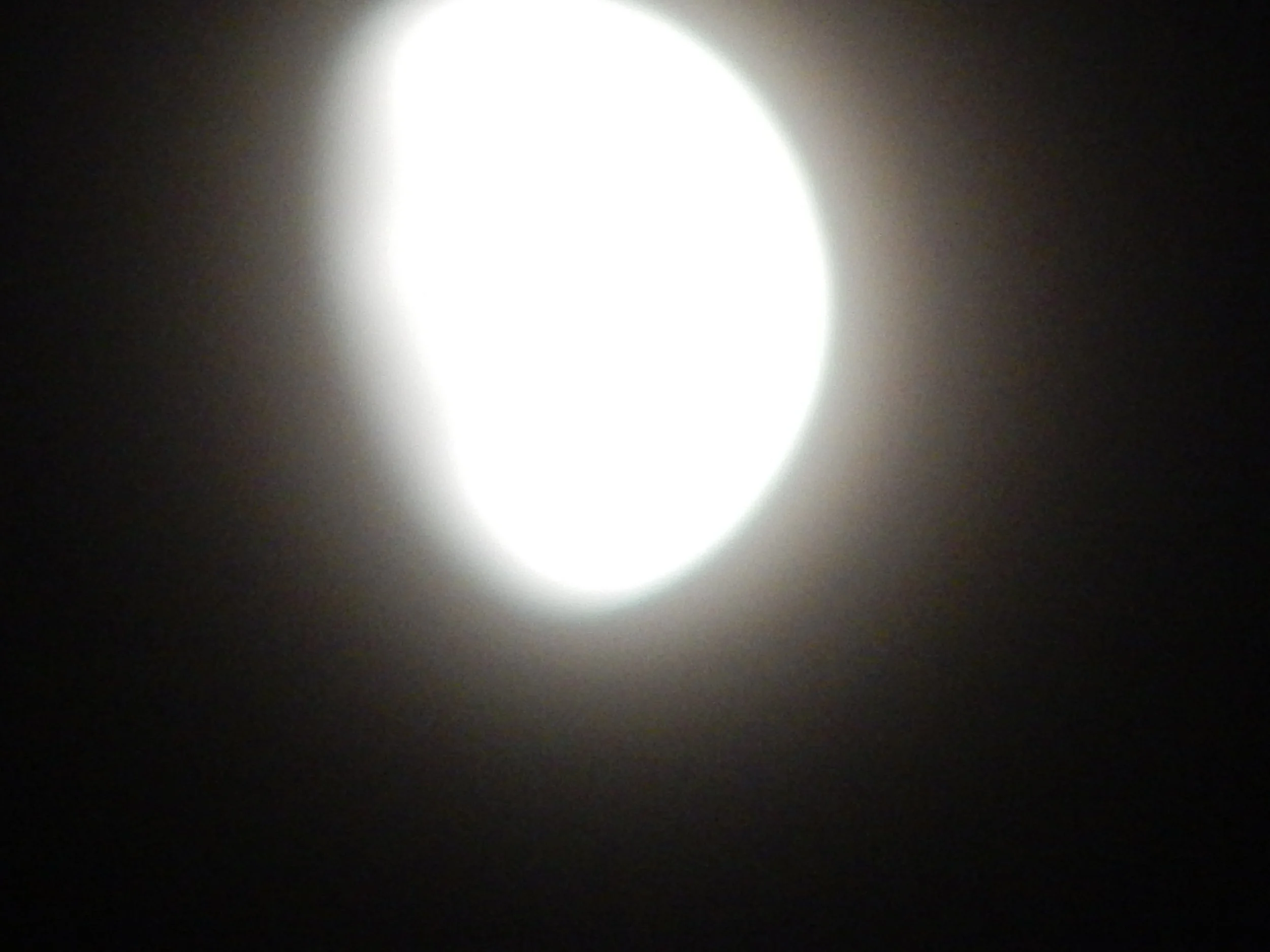 DSCN7265.jpg