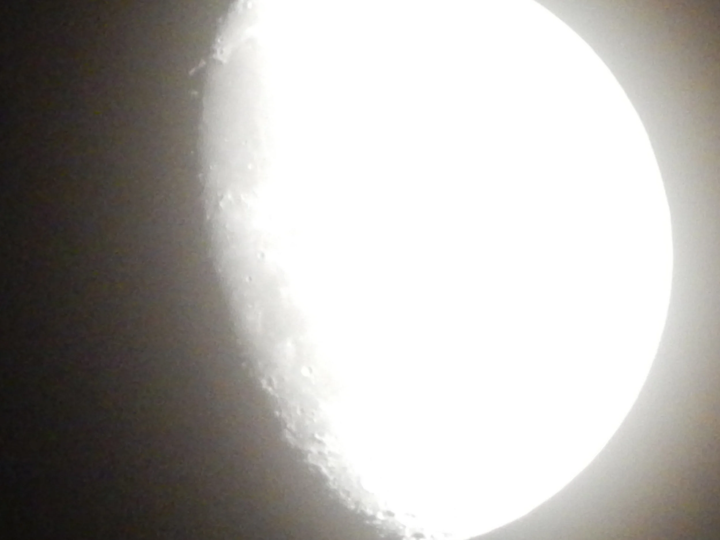 DSCN7264.jpg