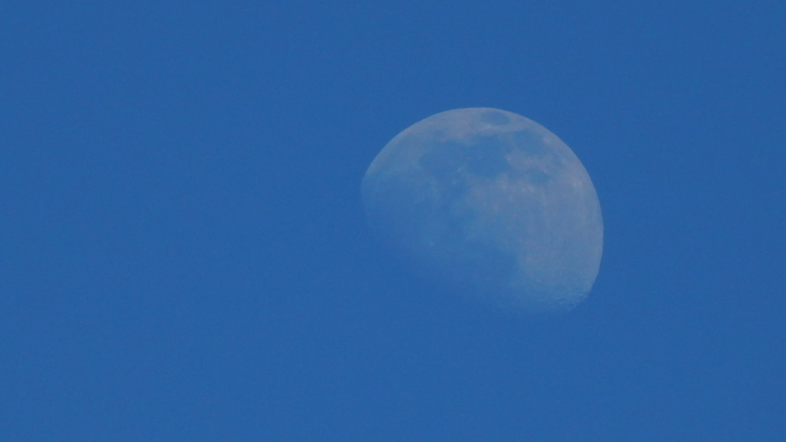 bluemoon1.jpg
