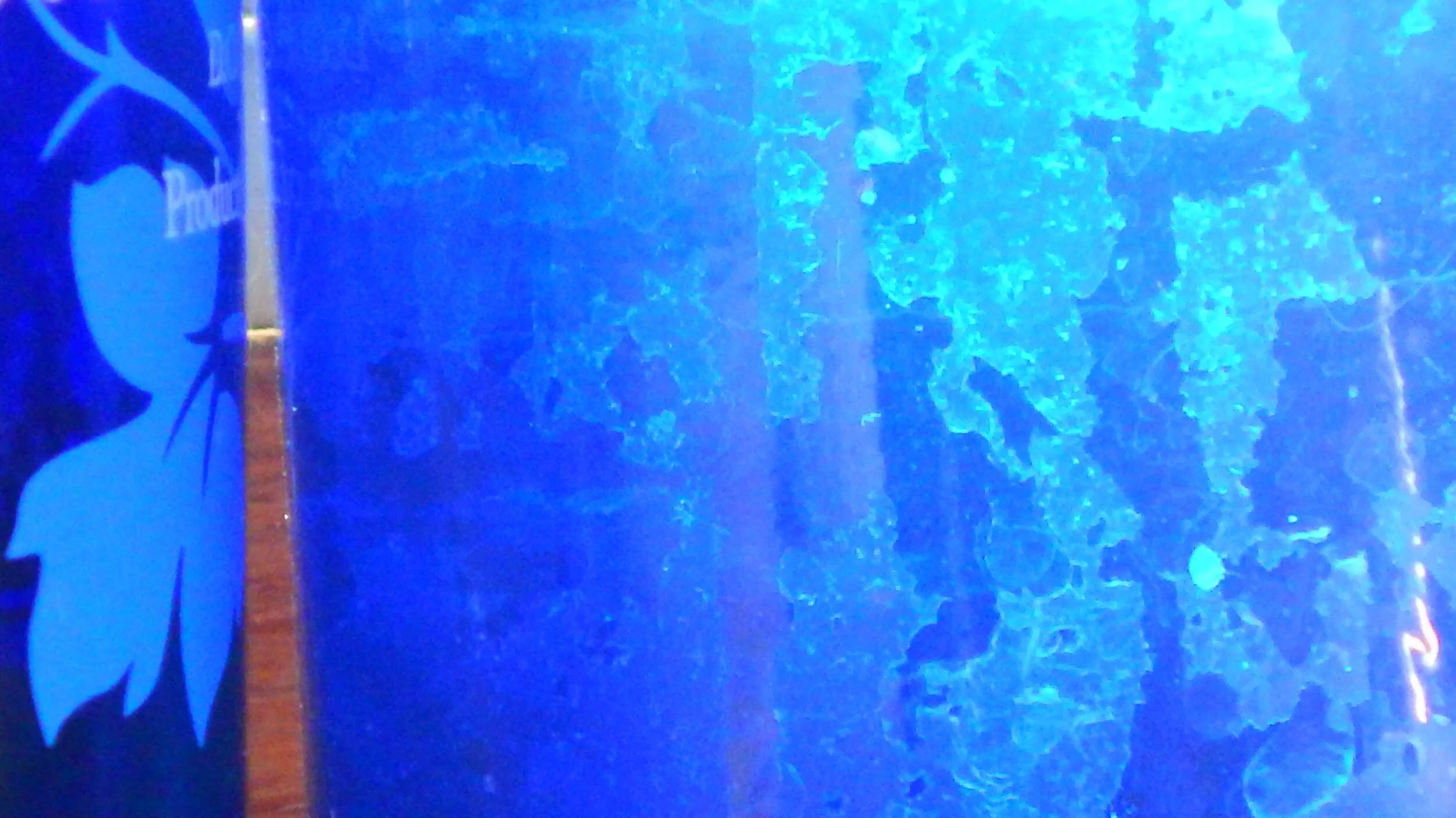 DSCN0186.JPG
