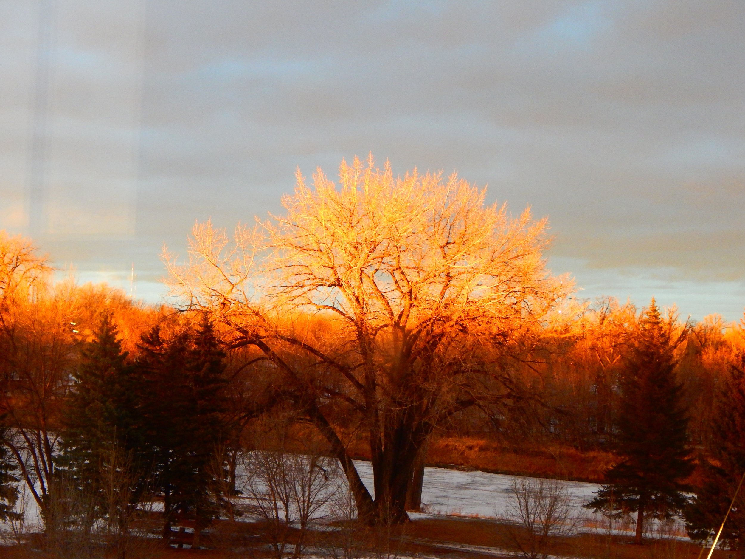 processed_REDRIVER GLOW 2025 WJORDAHL.JPG