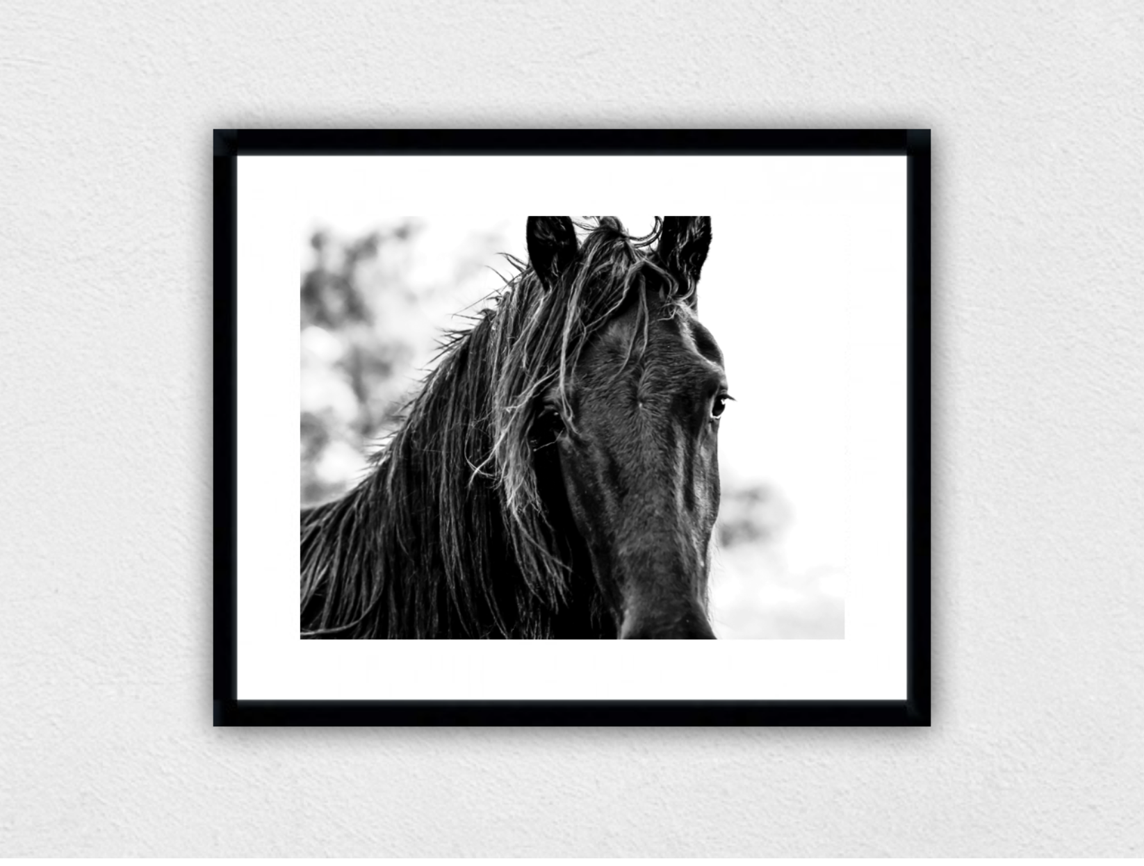 THE BLACK COLT - Seen here mounted and framed in black. All prints have the option of framing in black, white and natural timber (oak).