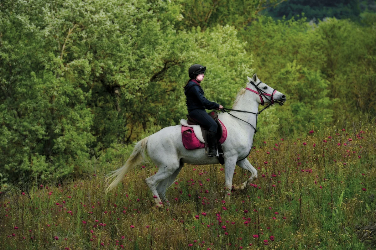 You literally ride through fields of poppies to wine and cheese tastings. Then you tie your horse up to a clothes line!