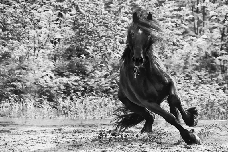 Impulsion.jpg