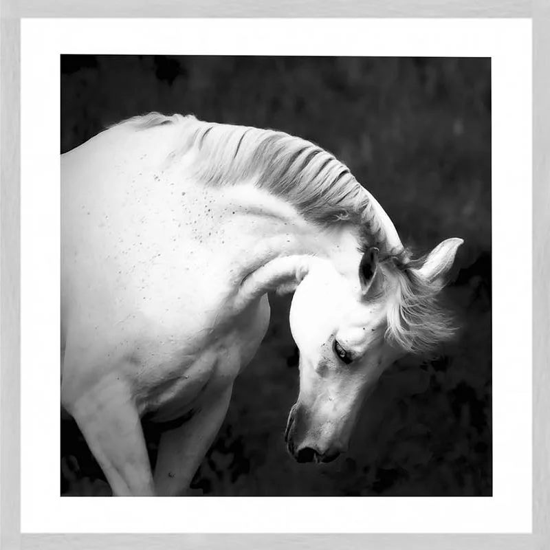 grey horsegreyroom-2.jpg