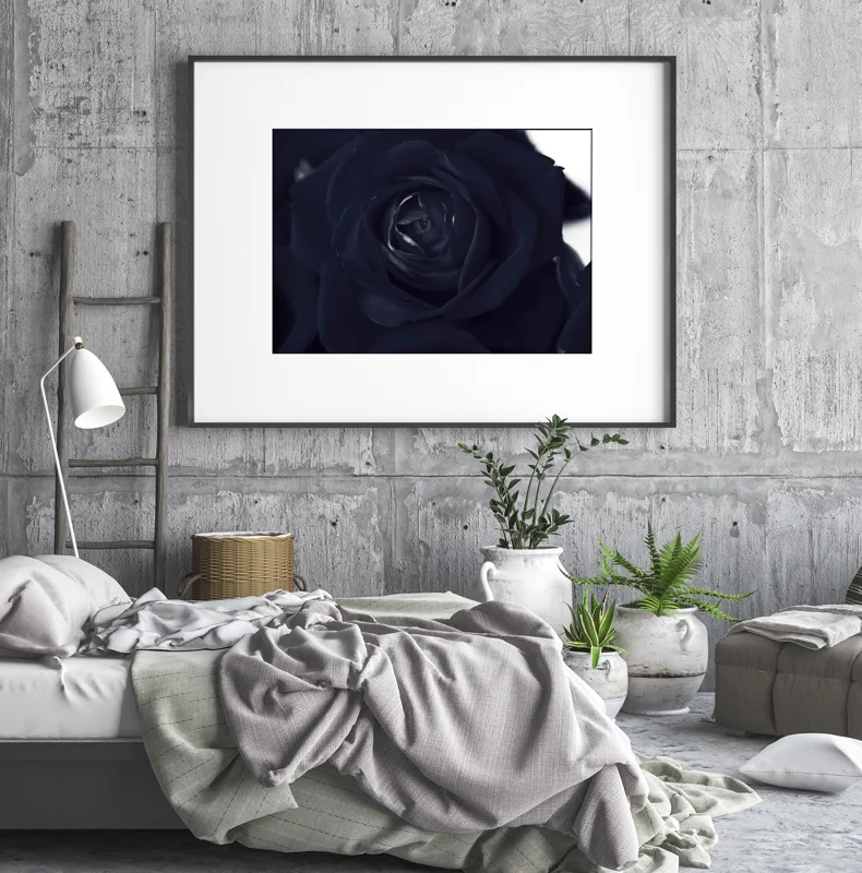 Desert Roseon display-2.jpg