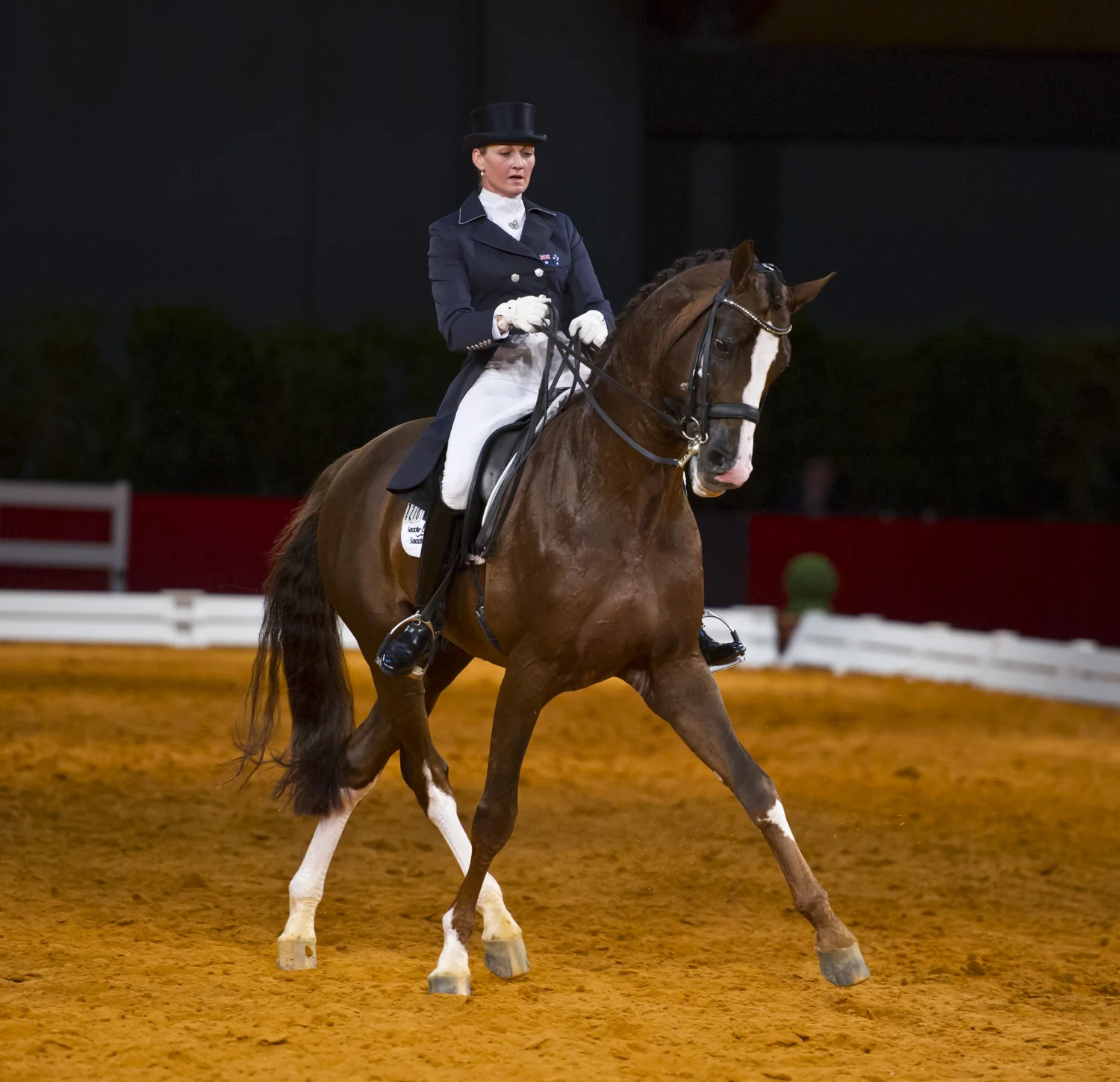 equestrian vimeo (8 of 78).jpg