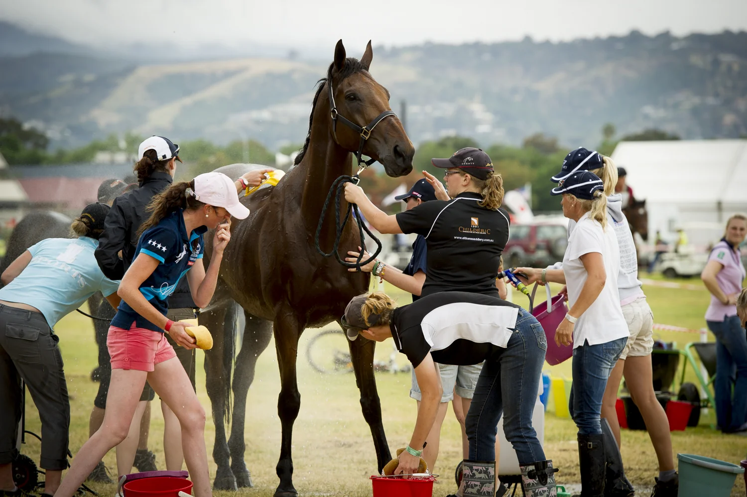 equestrian vimeo (21 of 78).jpg
