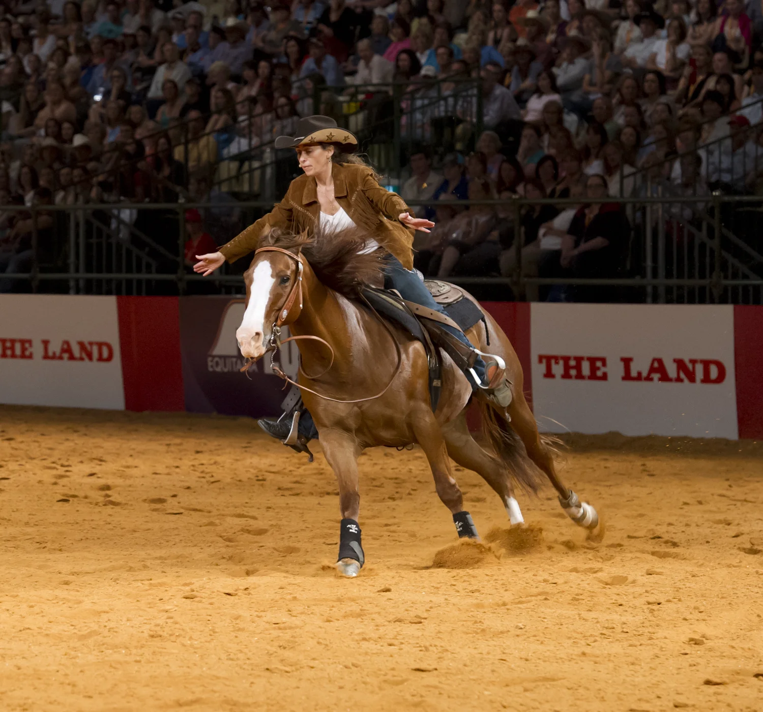 equestrian vimeo (70 of 78)-2.jpg