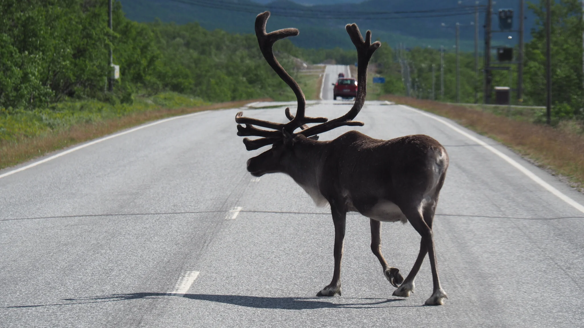Overlanding door Lapland / Tromso - Enontekiö⁩ (Hetta)
