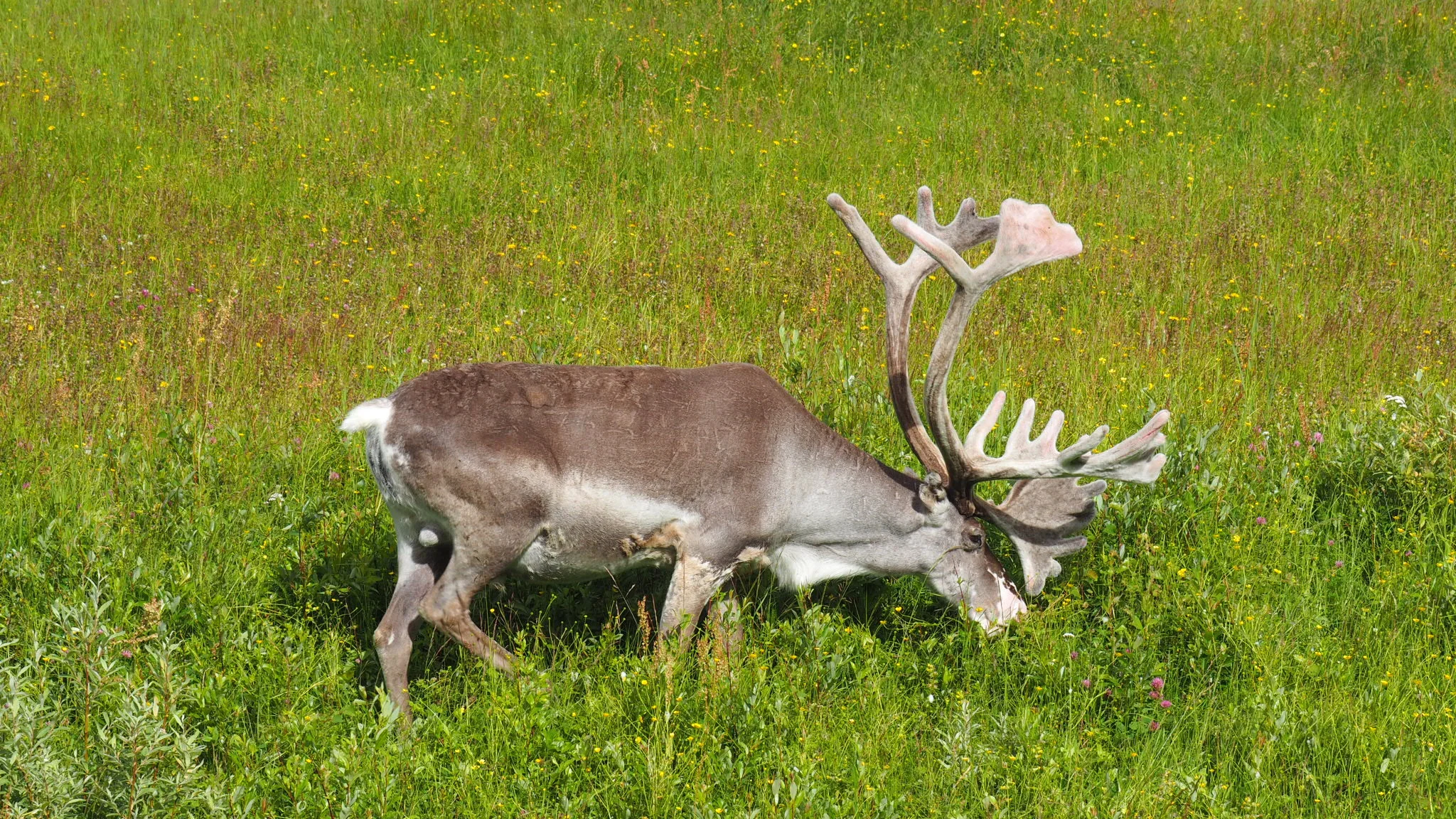 IMG_4034.jpg