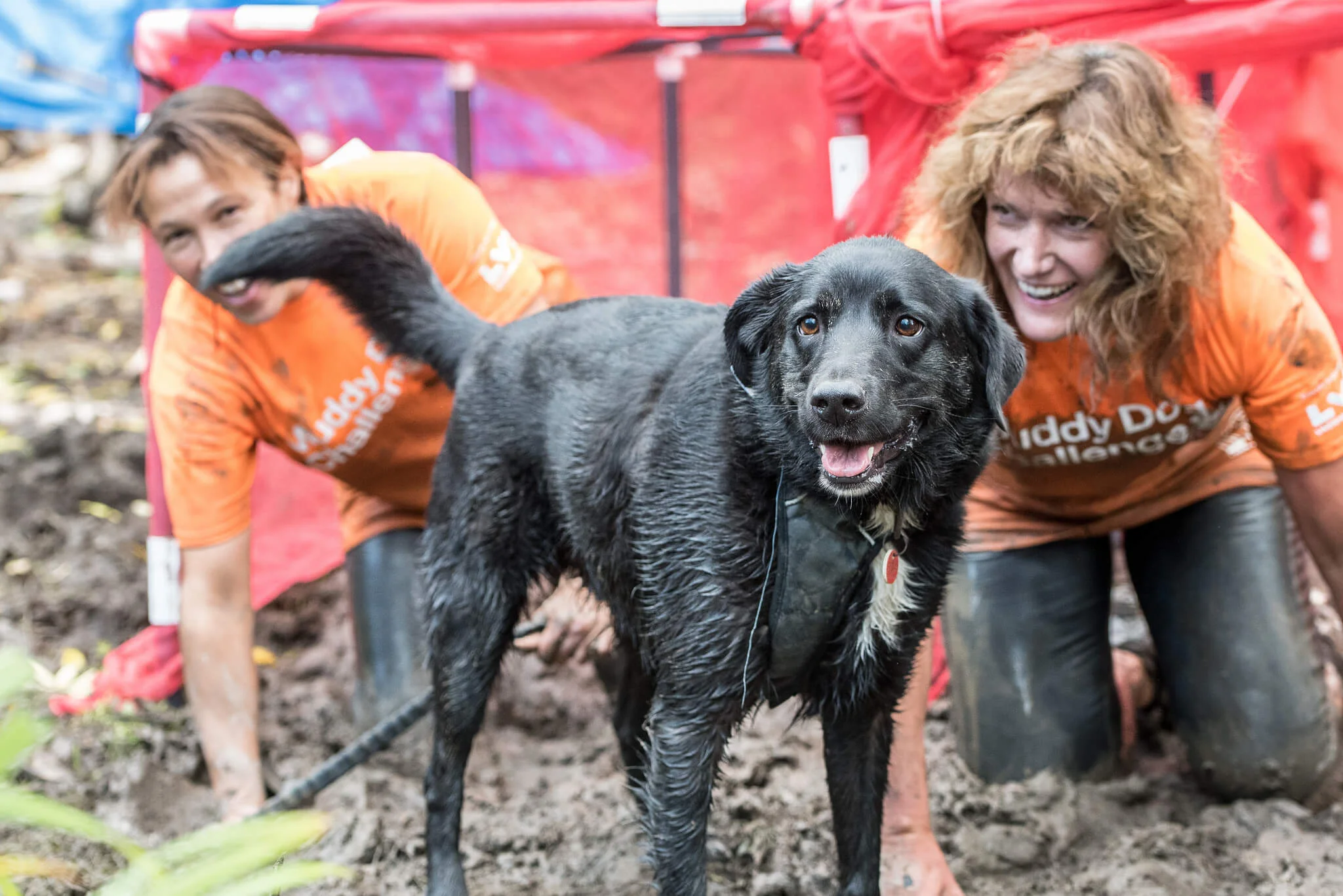 Mud and sweat at the Muddy Dog Challenge