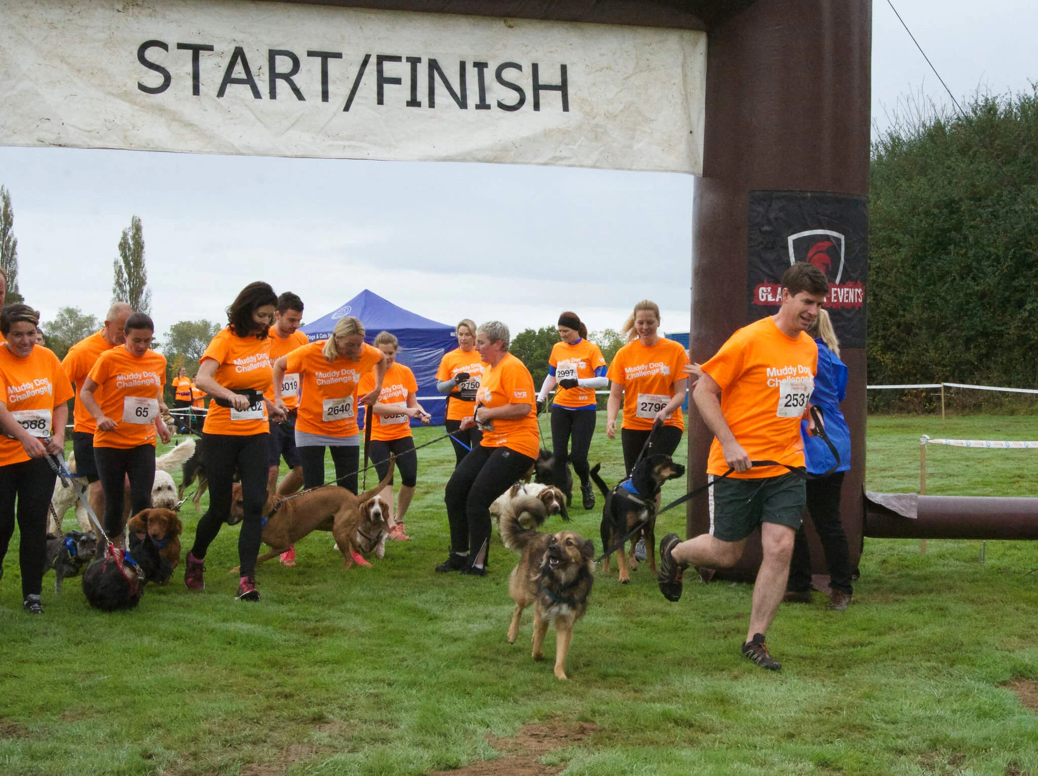Dogs and humans at the start of the Muddy Dog Challenge