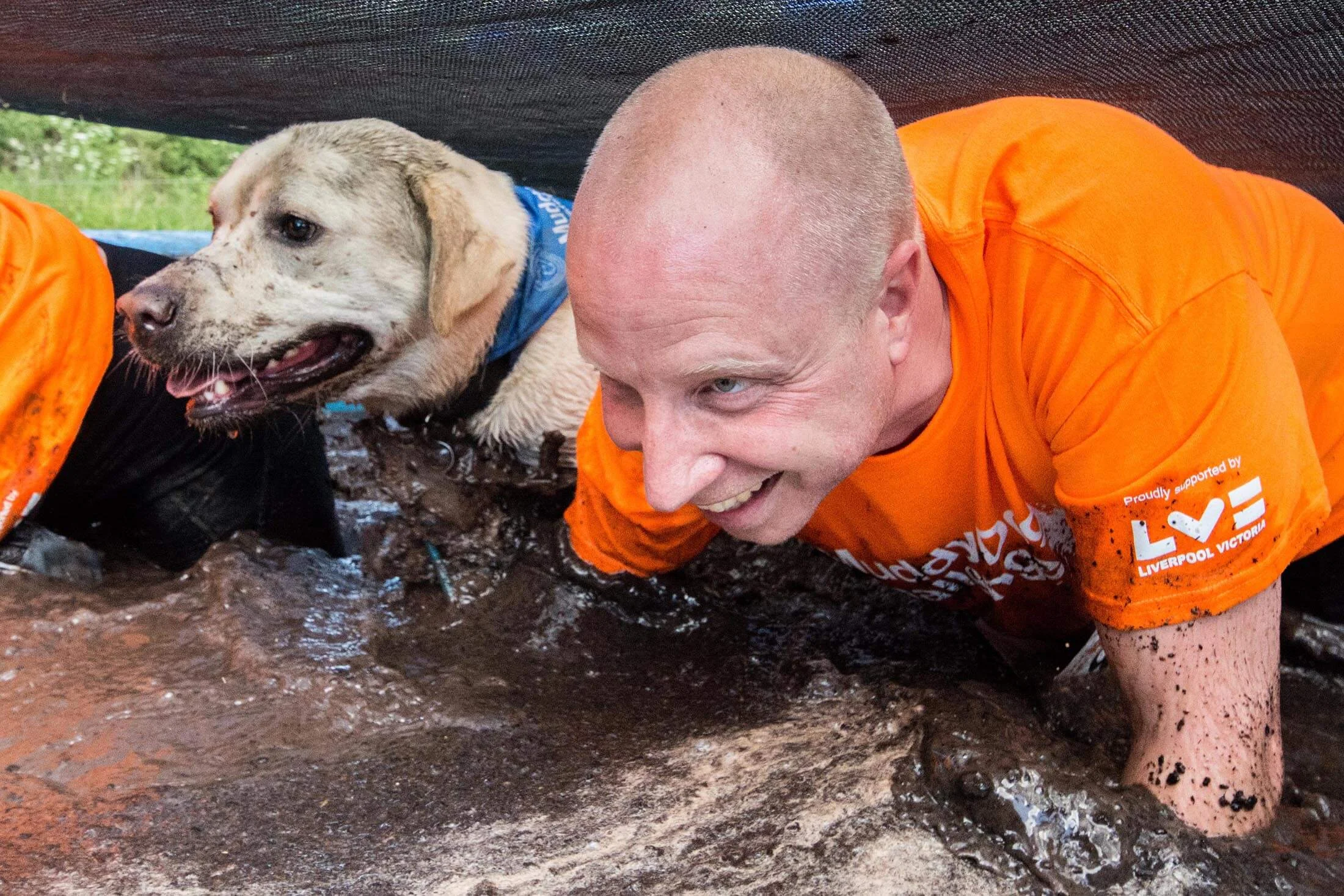 Human and dog striving together