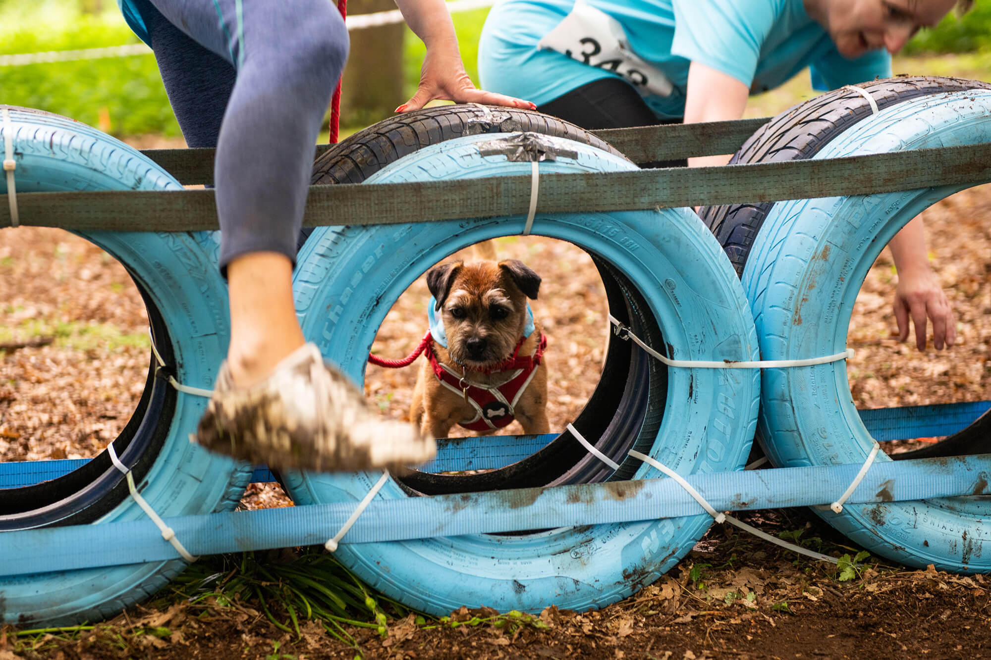 Muddy Dog Challenge 2018 - Nottingham