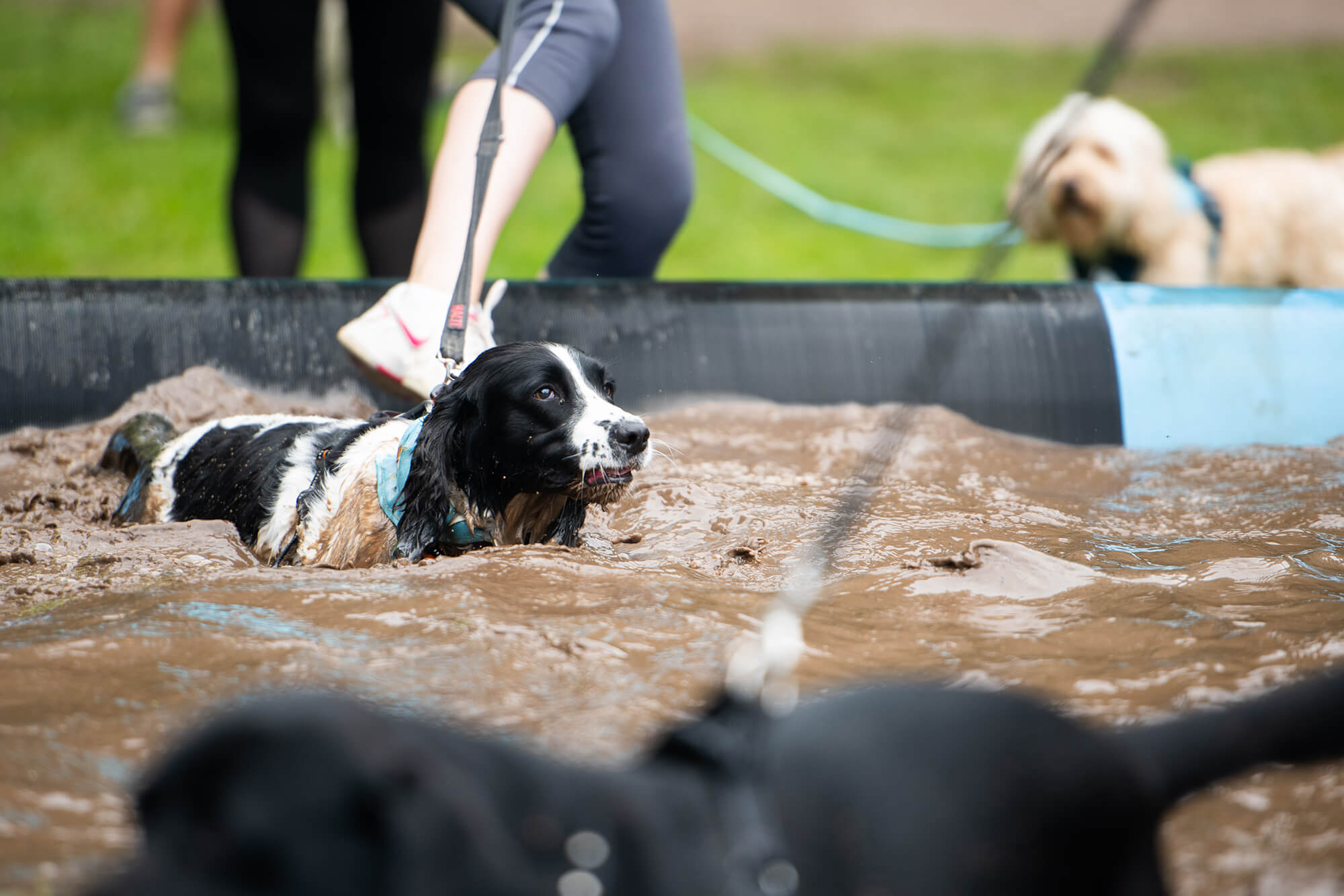 Muddy Dog Challenge 2018 - Nottingham