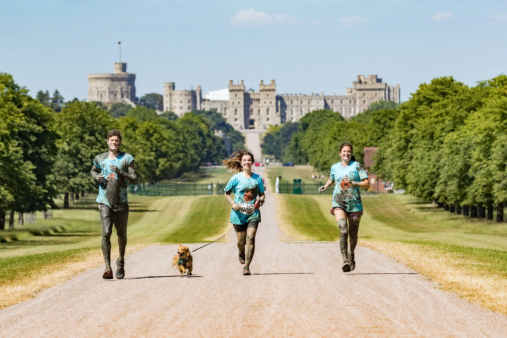 Muddy Dog Challenge Windsor 2018