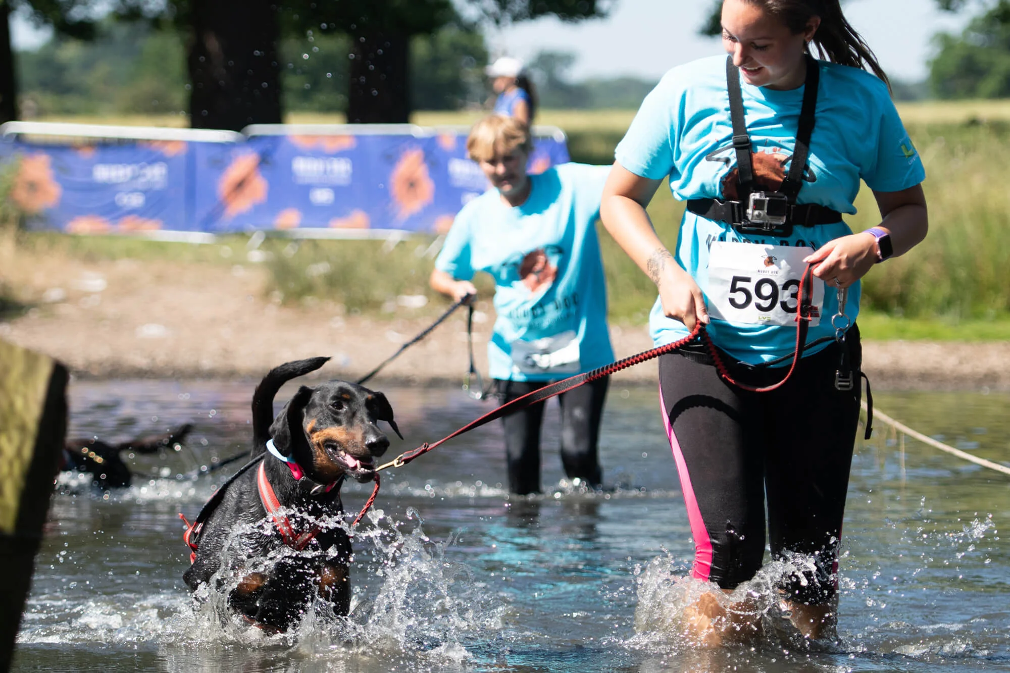 Muddy Dog Challenge Windsor 2018