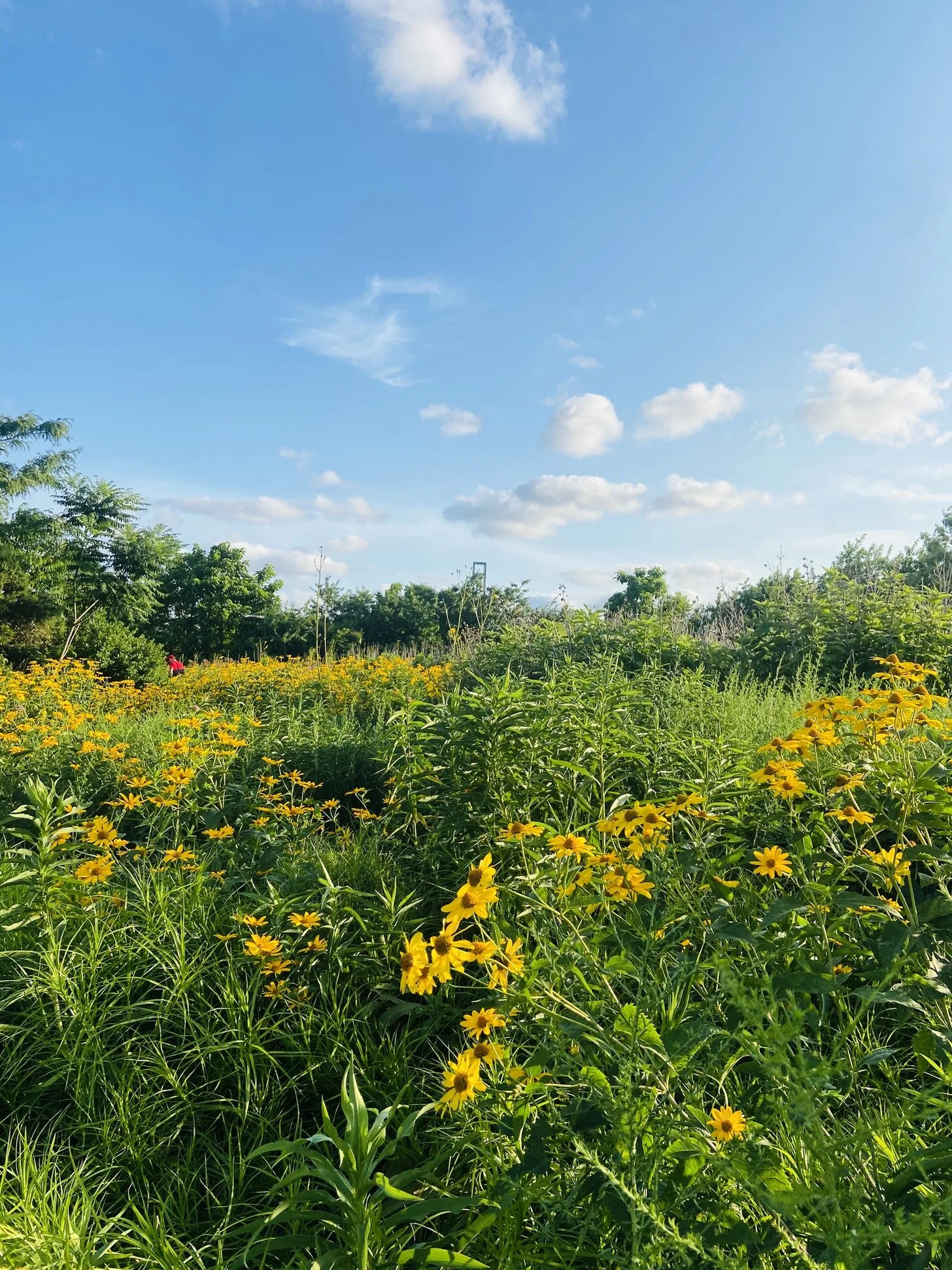 Do You Have An Energy Leak?