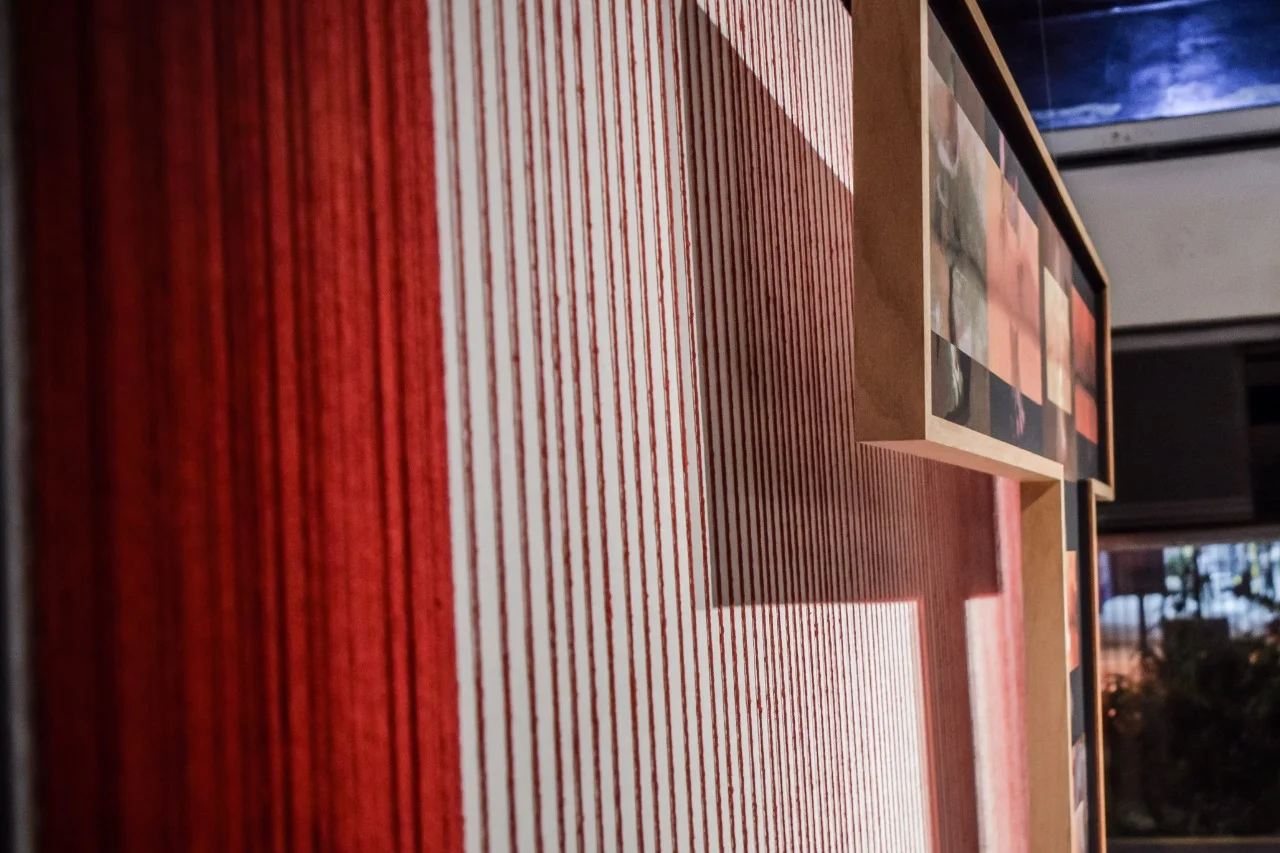 Centro Cultural Paschoal Carlos Magno | Curadoria Luciana Solano | 2018