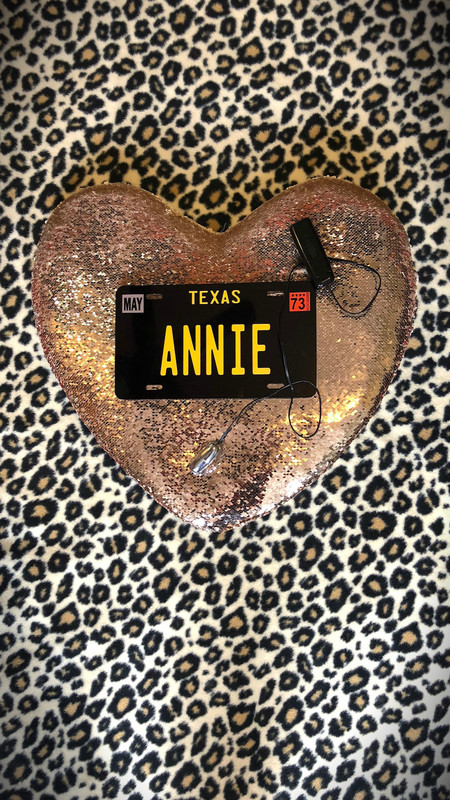 Texas Annie: The Legend of the Moan Ranger