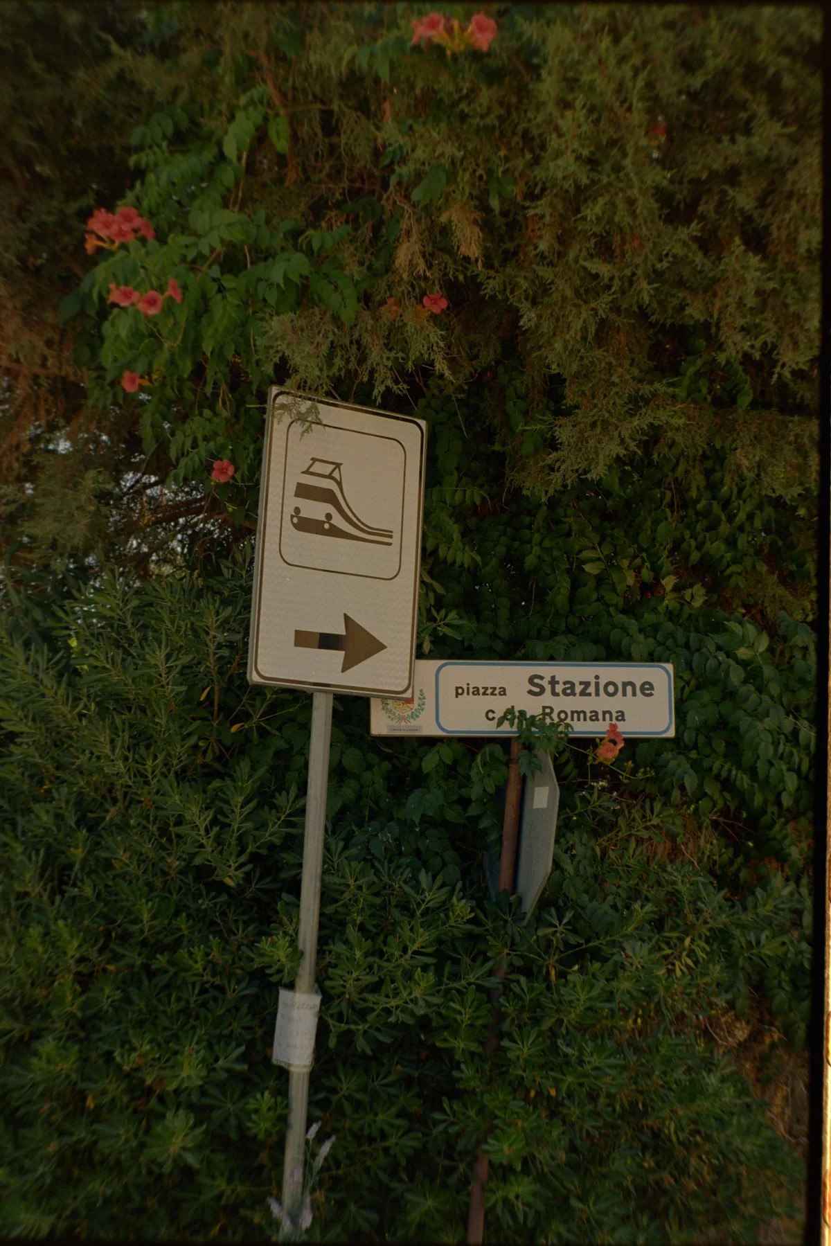 ITALIE_REIS_162.jpg