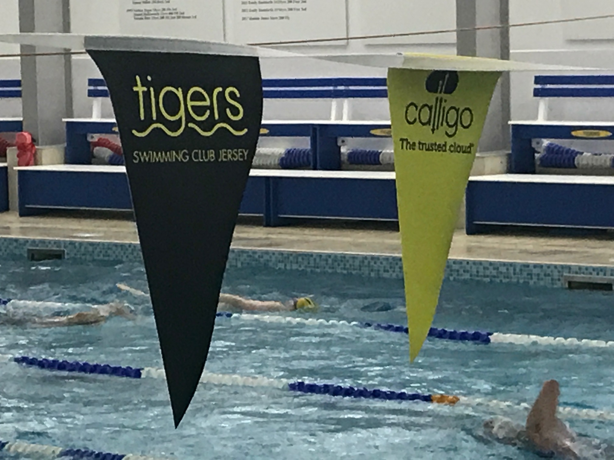 tigers swimming club jersey