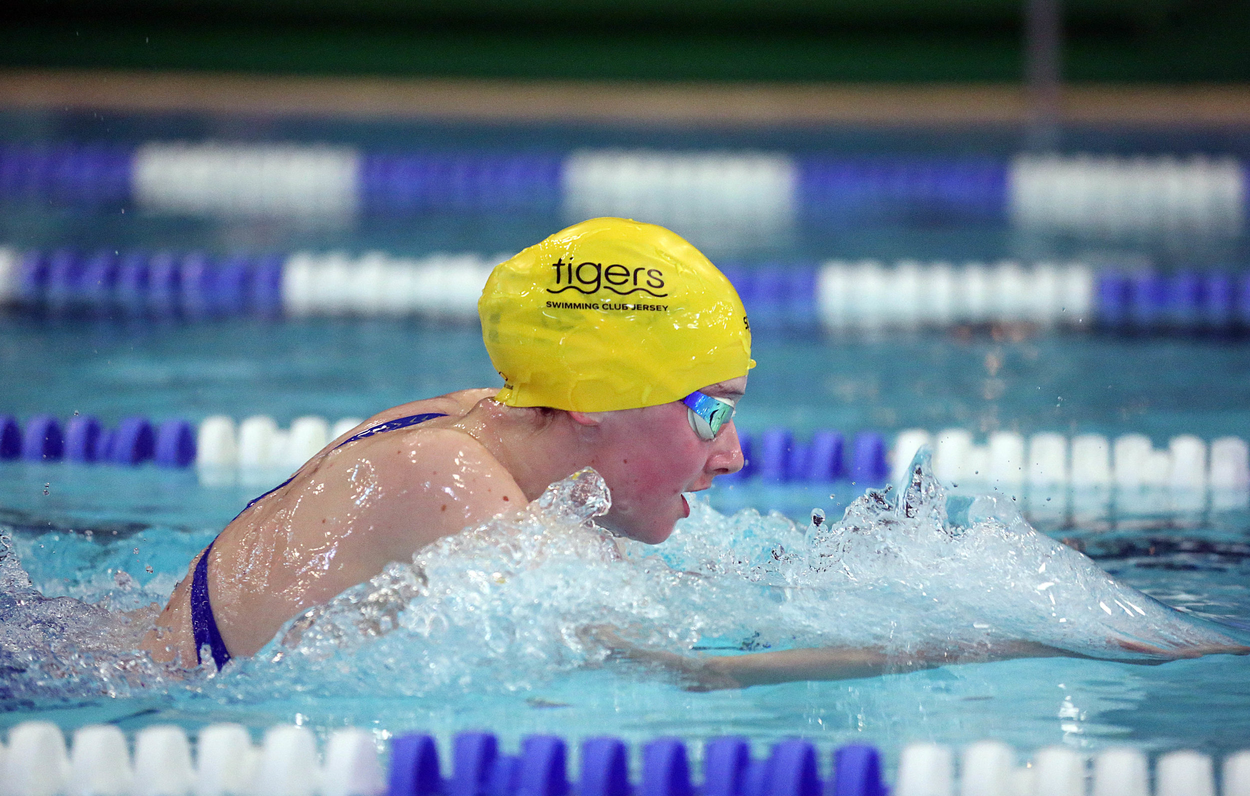 tigers swimming club jersey