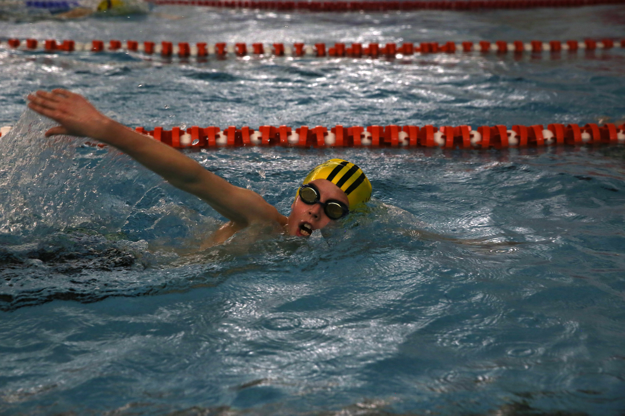 jersey tigers swimming