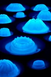 fluorscent jellies_3190.jpg