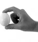 egg.jpg