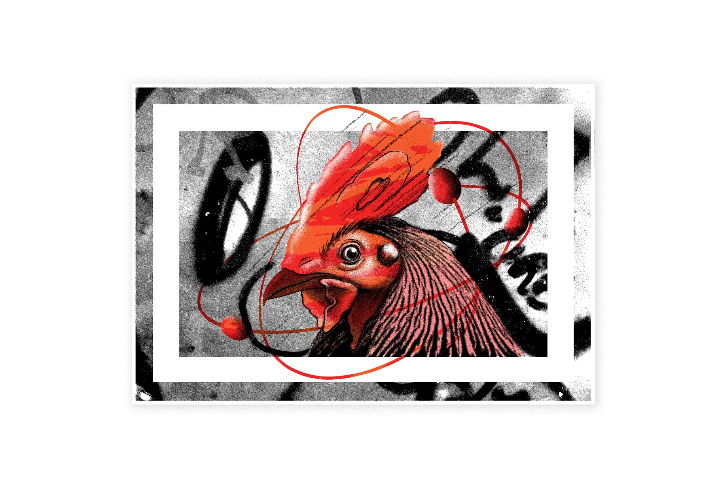 Year of the Rooster 丁酉鸡年